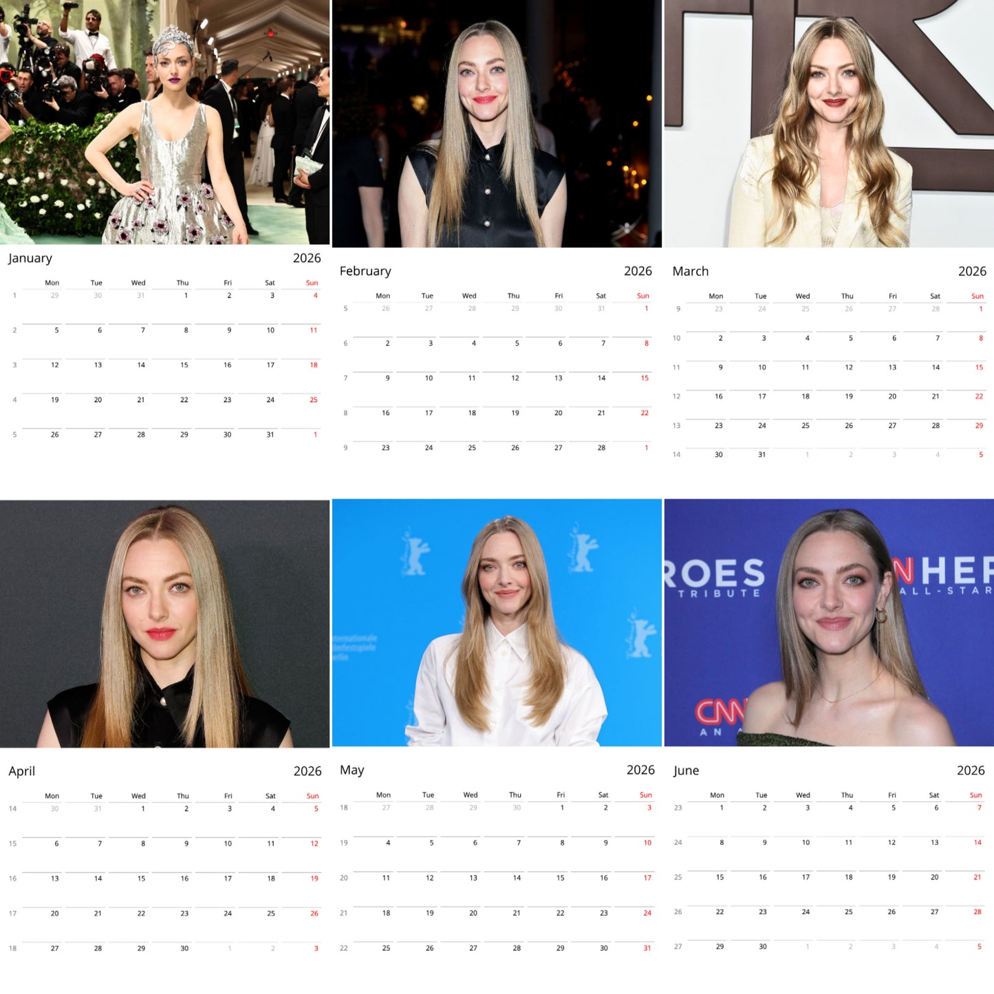 Amanda Seyfried 2026 Wall Calendar (Large Calendar) β Celebrity Fan Gift, Premium Wall Art