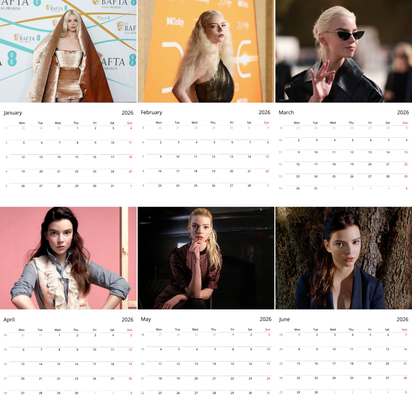 Anya Taylor-Joy 2026 Wall Calendar β Stunning Actress Calendar for Fans, Hollywood Star Gift