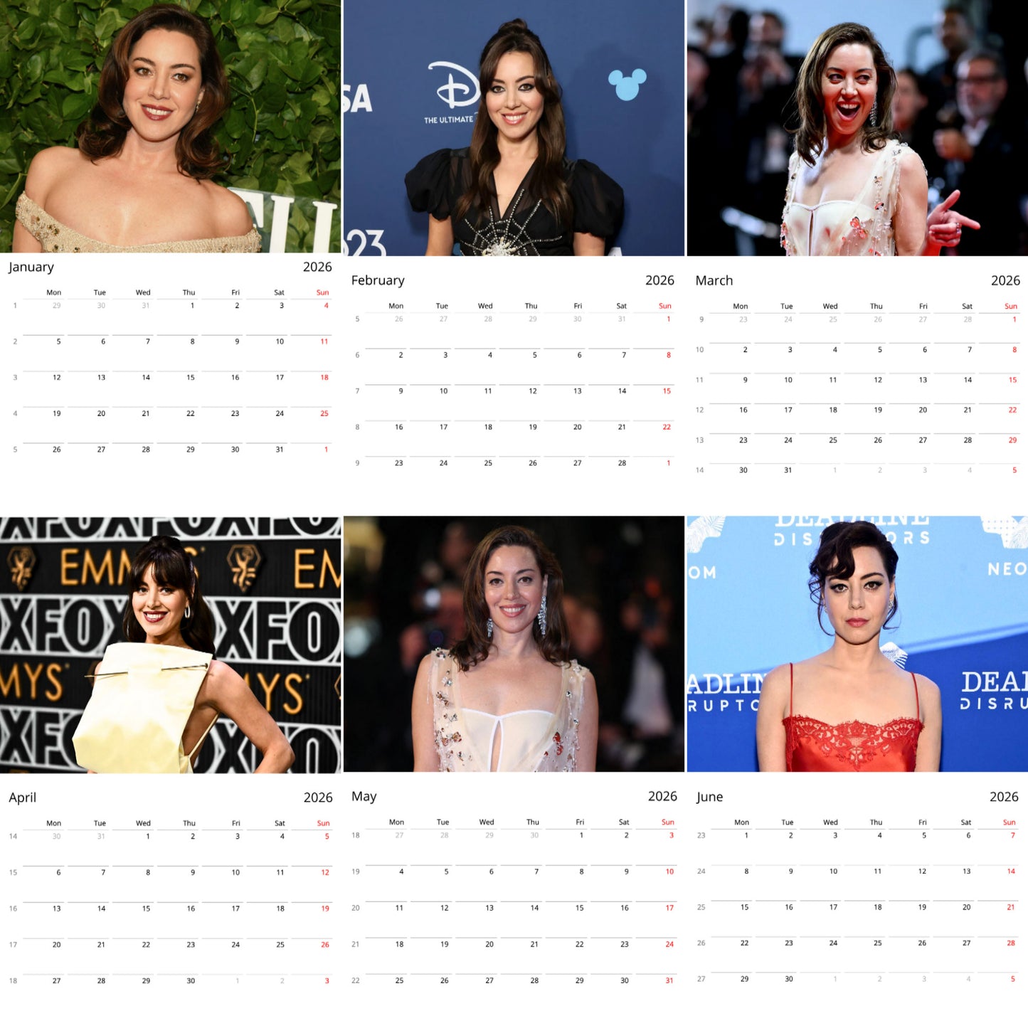 Aubrey Plaza 2026 Wall Calendar (Large Calendar) β Celebrity Fan Gift, Premium Wall Art