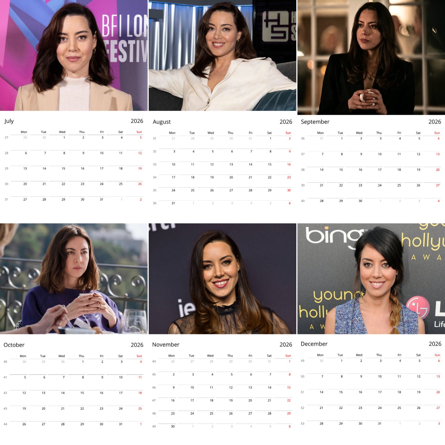 Aubrey Plaza 2026 Wall Calendar (Large Calendar) β Celebrity Fan Gift, Premium Wall Art