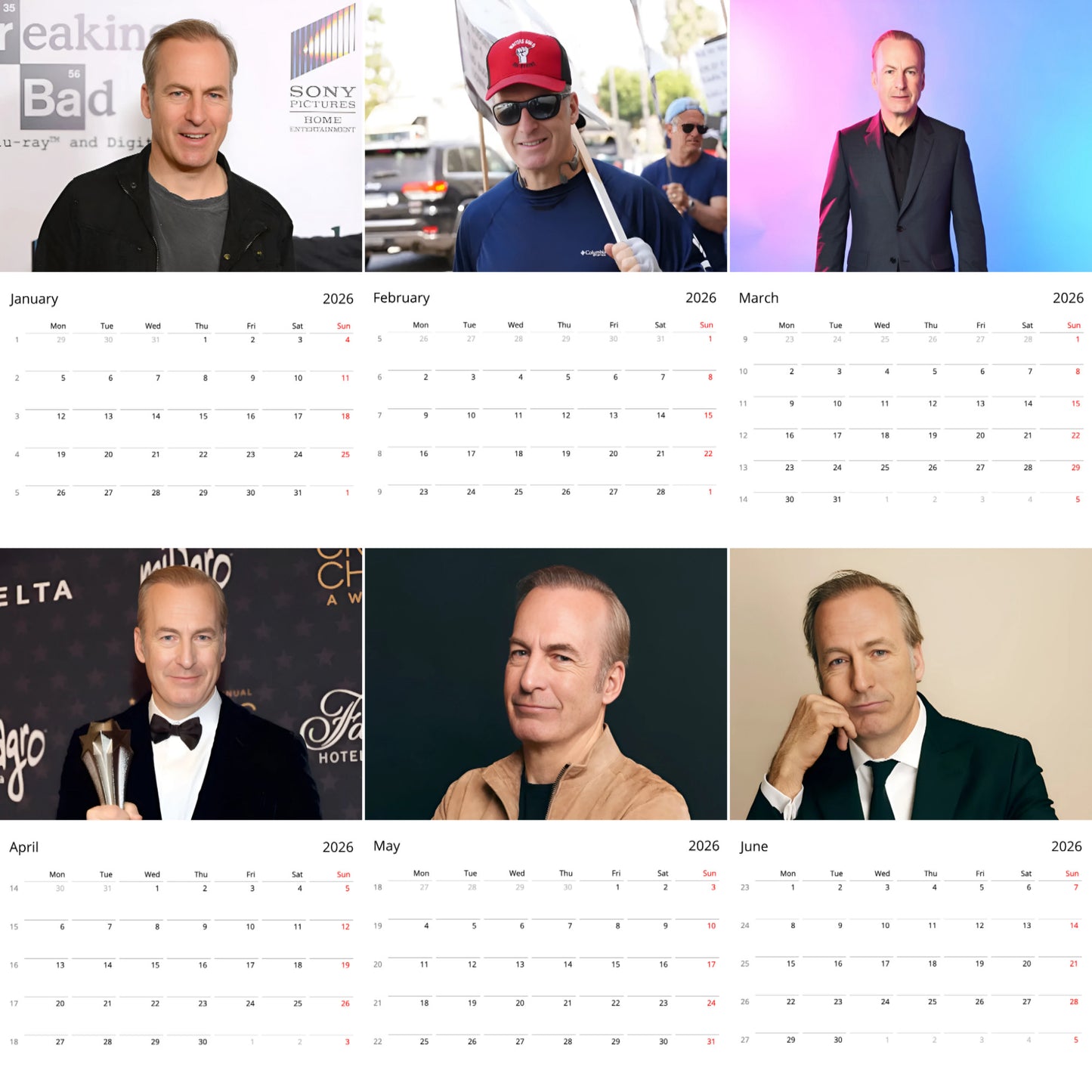 Bob Odenkirk 2026 Wall Calendar β Premium Actor Calendar for Fans, Hollywood Legend Gift
