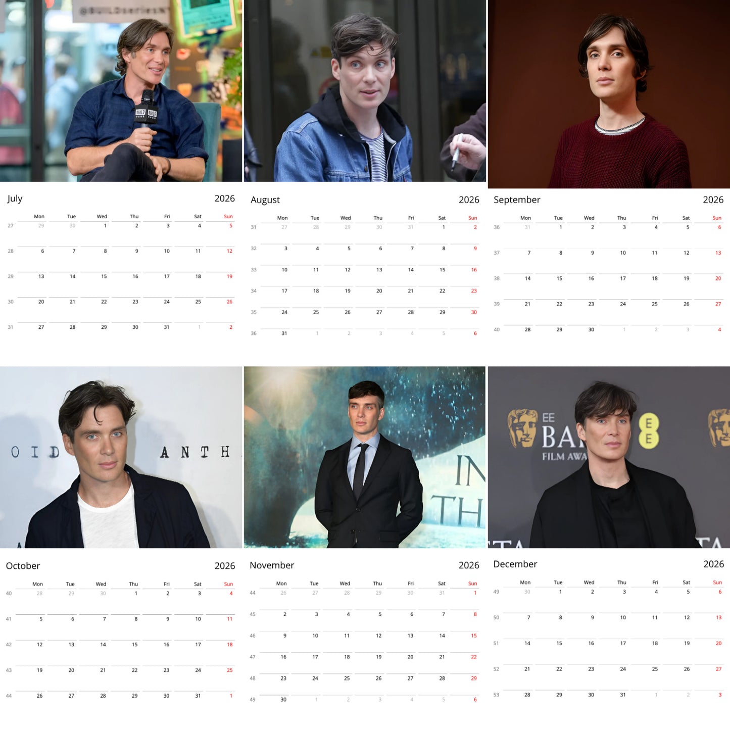 Cillian Murphy 2026 Wall Calendar – Premium Actor Calendar for Fans, Hollywood Icon Gift
