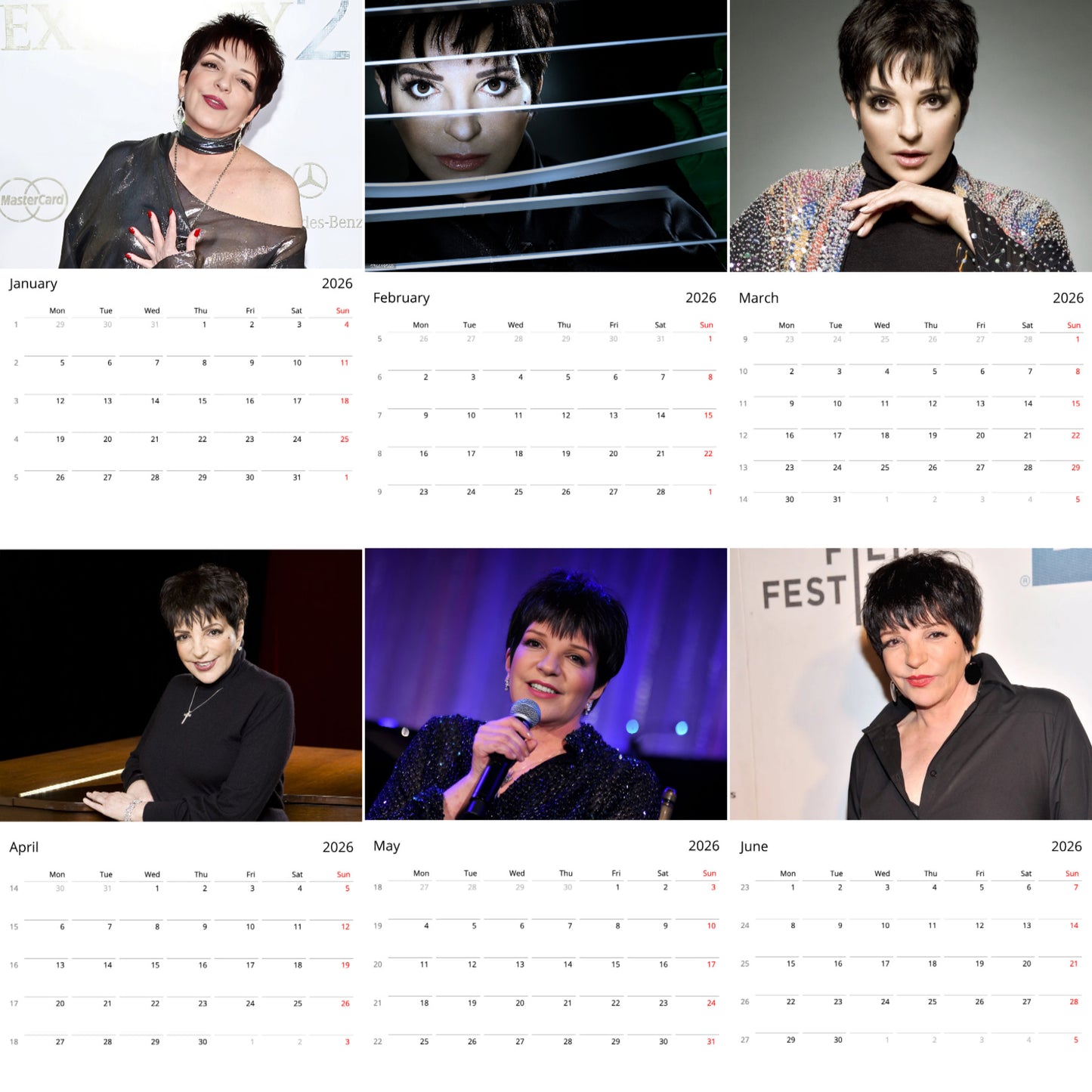 Liza Minnelli 2026 Wall Calendar (Large Calendar) β Celebrity Fan Gift, Premium Wall Art