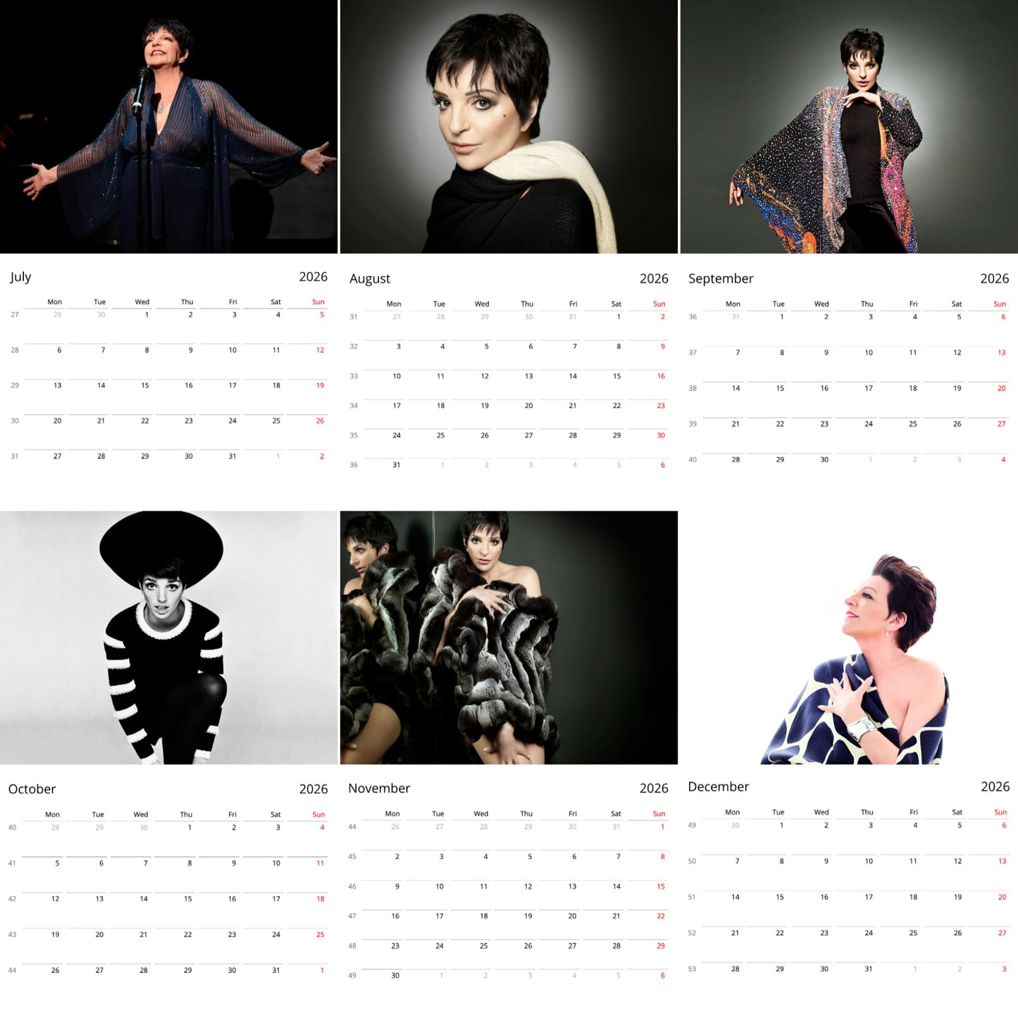 Liza Minnelli 2026 Wall Calendar (Large Calendar) β Celebrity Fan Gift, Premium Wall Art