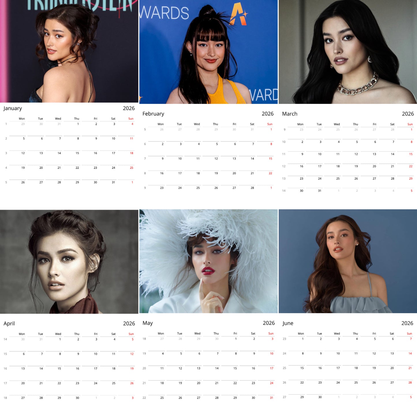 Liza Soberano 2026 Wall Calendar (Large Calendar) β Celebrity Fan Gift, Premium Wall Art