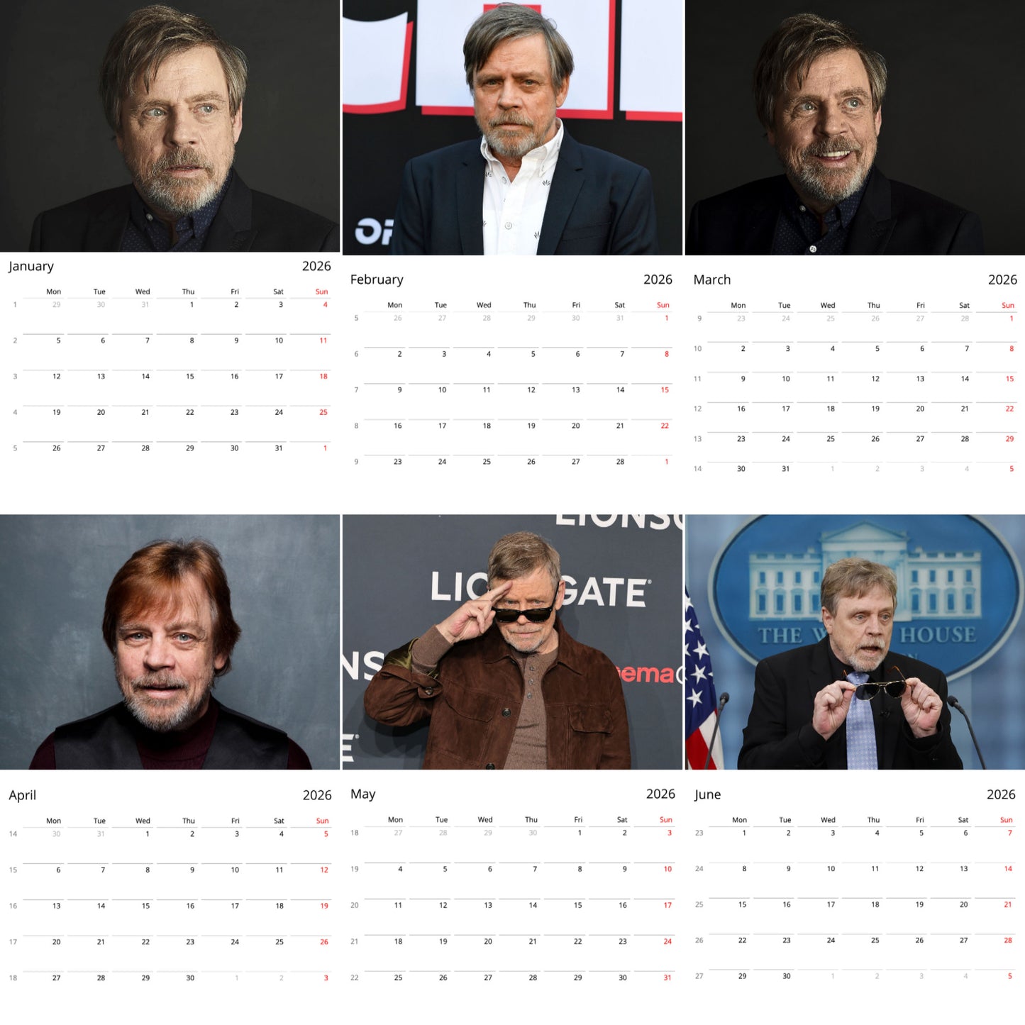 Mark Hamill 2026 Wall Calendar (Large Calendar) β Celebrity Fan Gift, Premium Wall Art