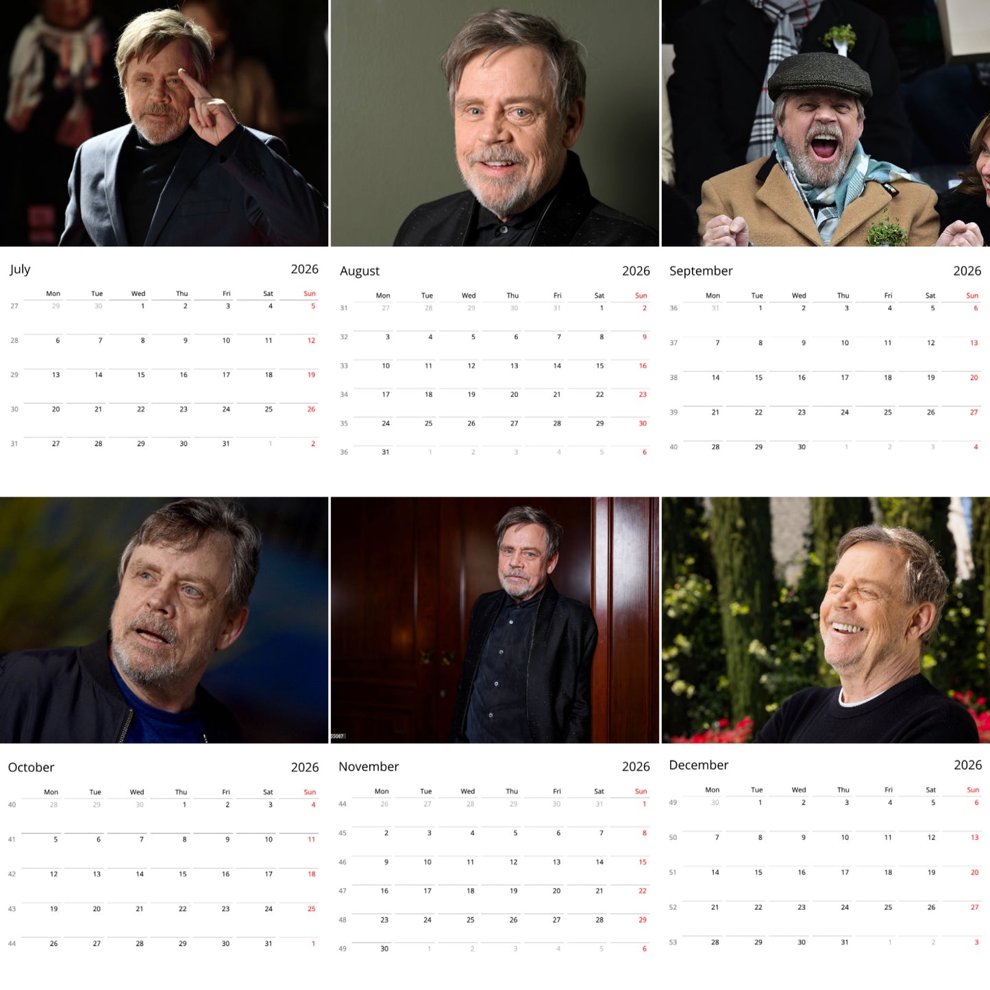 Mark Hamill 2026 Wall Calendar (Large Calendar) β Celebrity Fan Gift, Premium Wall Art