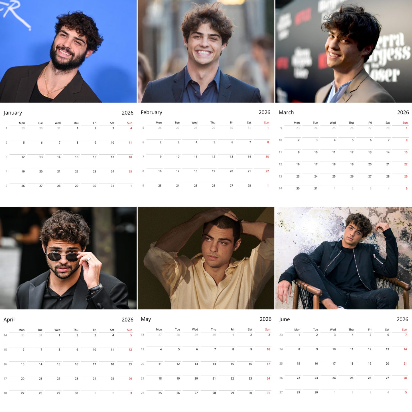 Noah Centineo 2026 Wall Calendar ( Large Calendar ) β Premium Actor Calendar for Fans