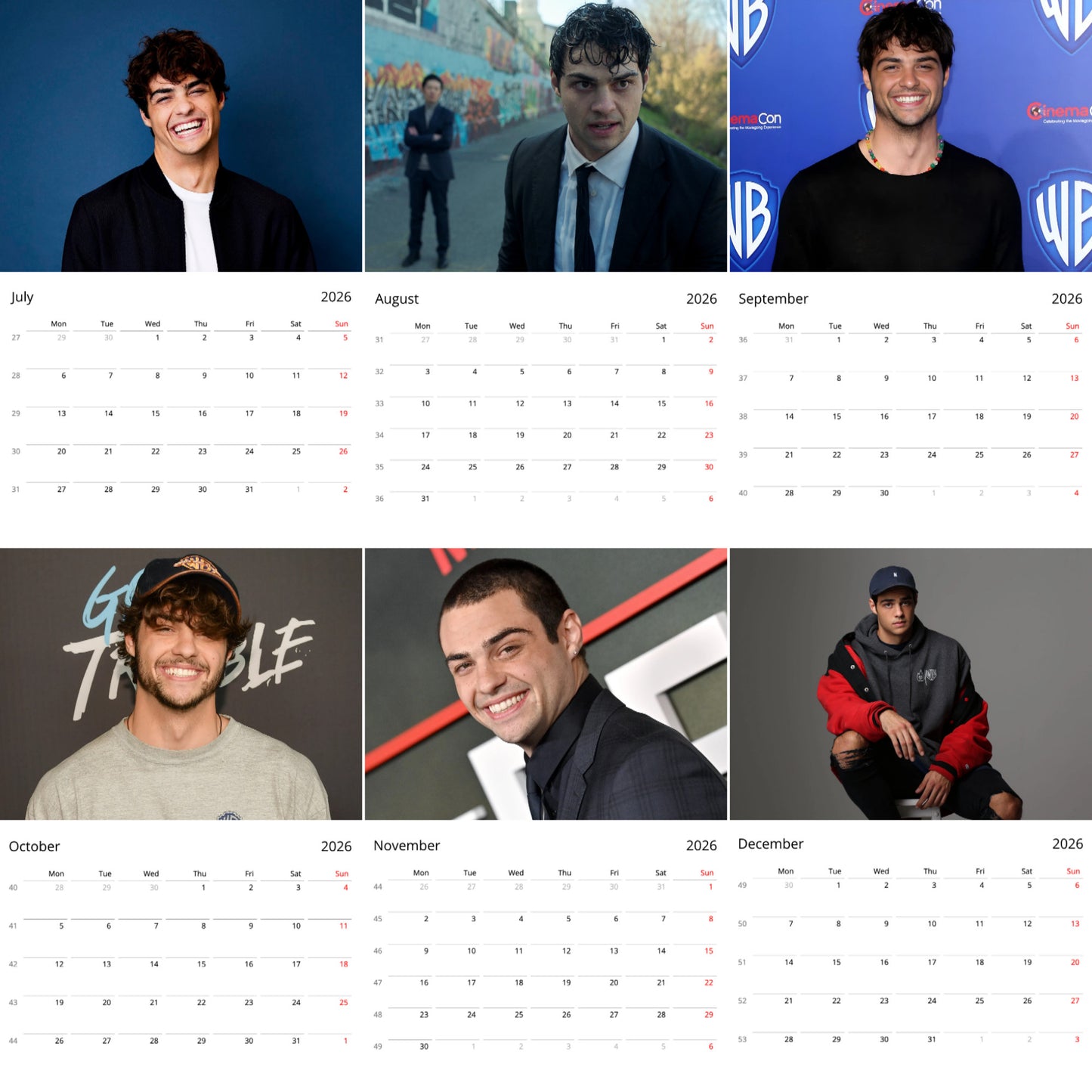Noah Centineo 2026 Wall Calendar ( Large Calendar ) β Premium Actor Calendar for Fans