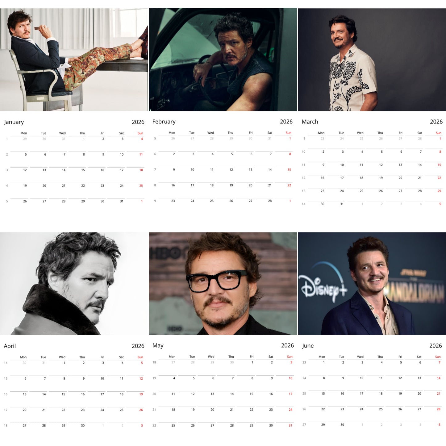Pedro Pascal 2026 Wall Calendar – Premium Actor Calendar for Fans, Hollywood Star Collectible Gift