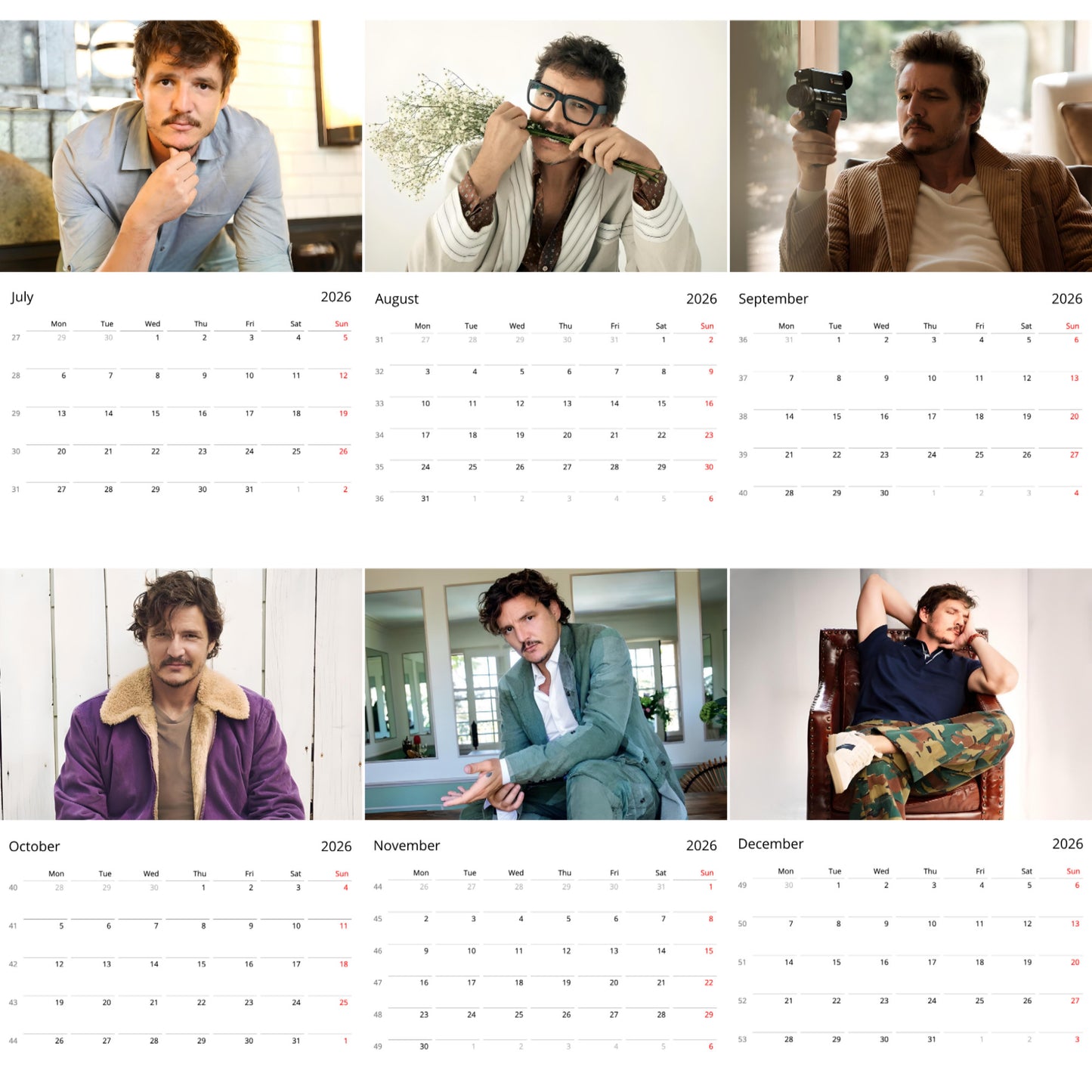 Pedro Pascal 2026 Wall Calendar – Premium Actor Calendar for Fans, Hollywood Star Collectible Gift