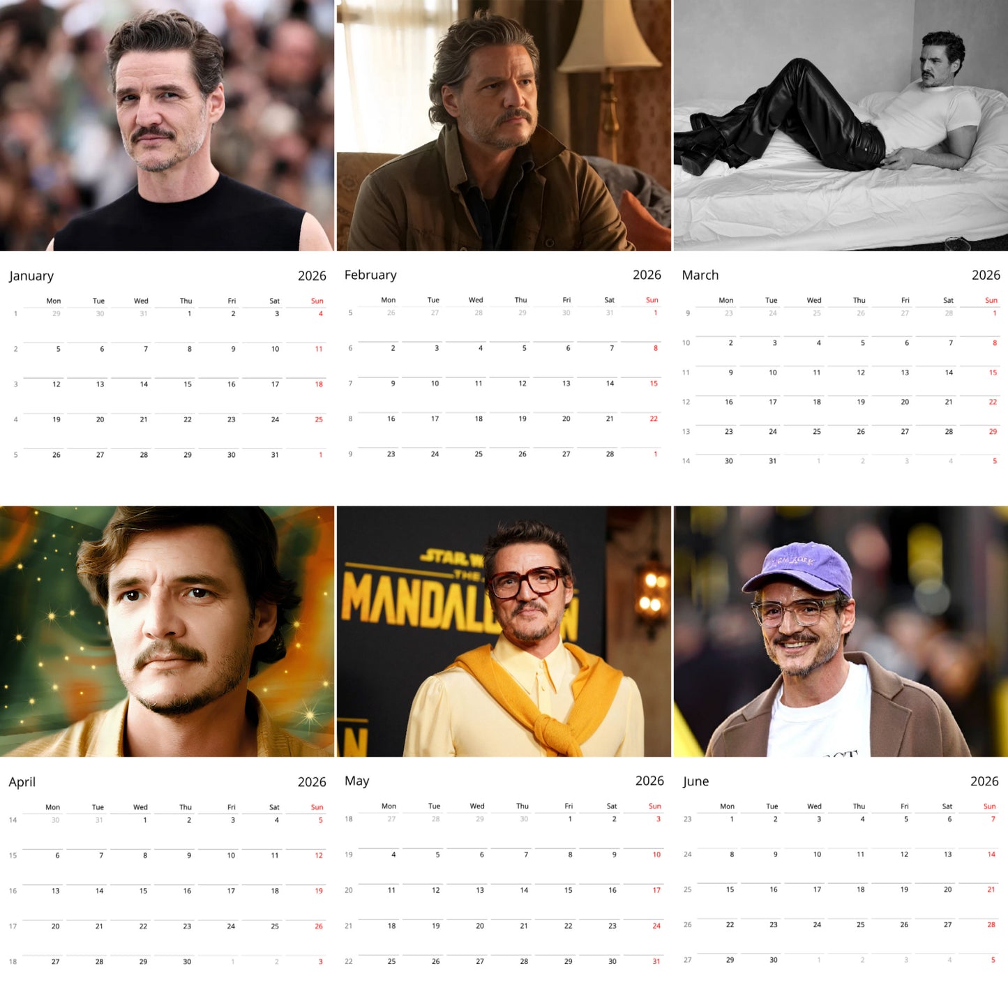 Pedro Pascal 2026 Wall Calendar β Premium Actor Calendar for Fans, Hollywood Star Collectible Gift