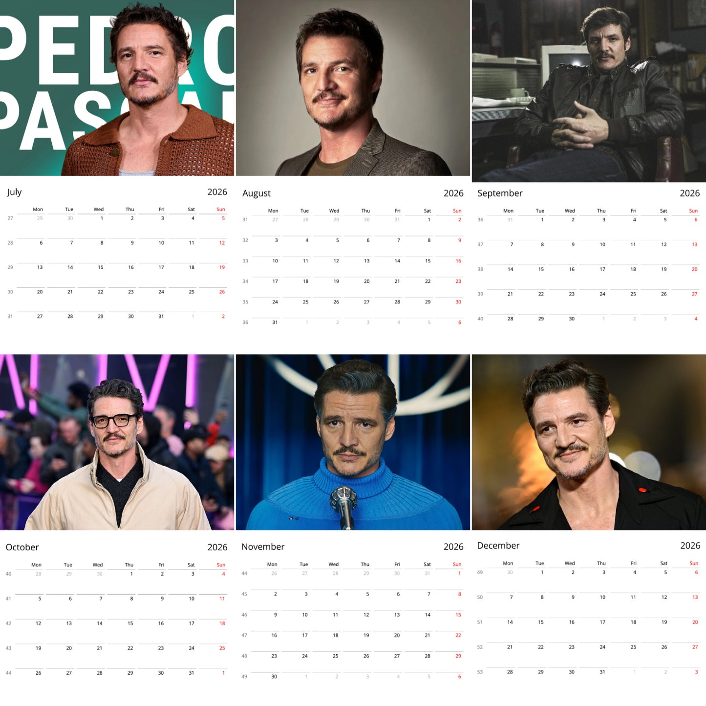 Pedro Pascal 2026 Wall Calendar β Premium Actor Calendar for Fans, Hollywood Star Collectible Gift