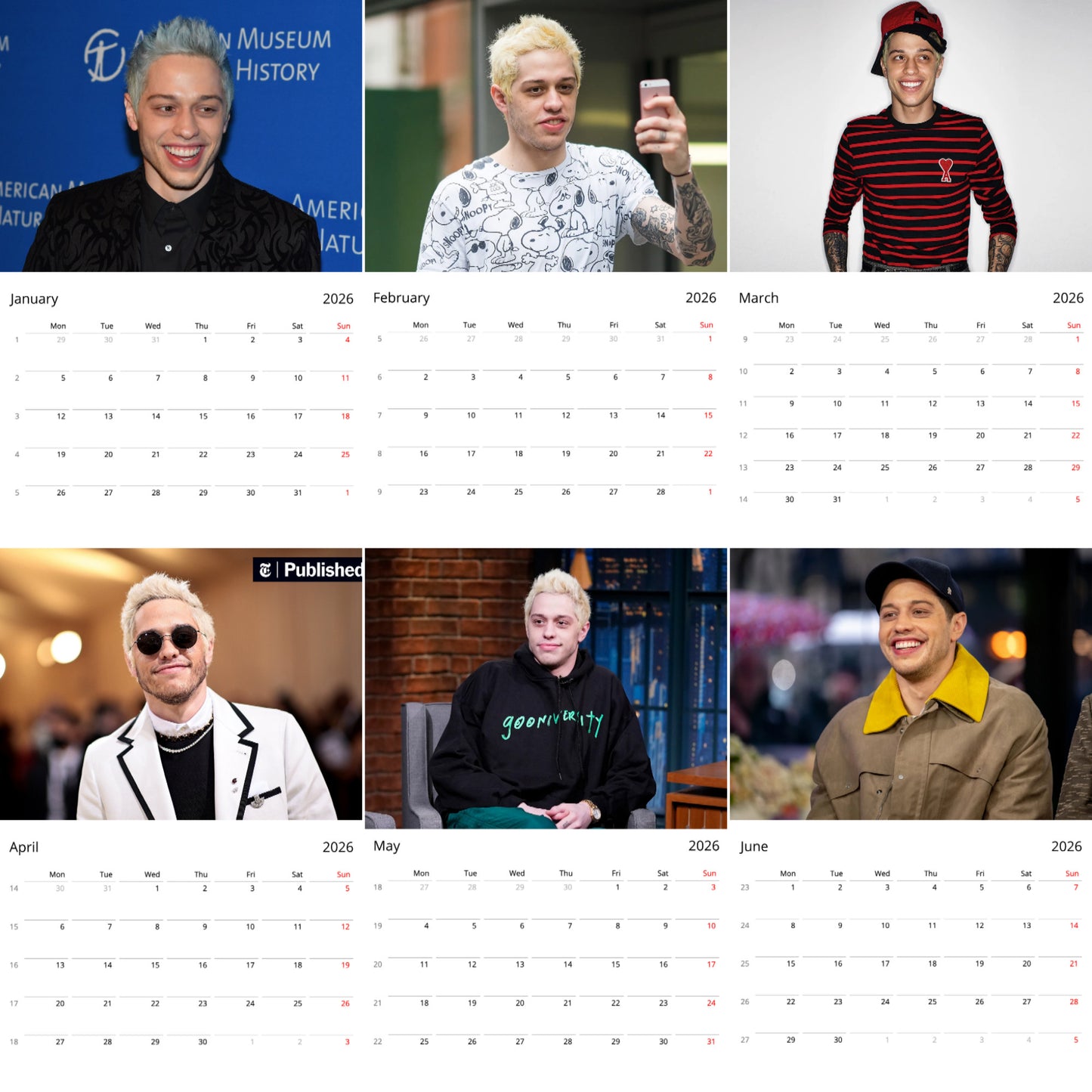 Pete Davidson 2026 Wall Calendar ( Large Calendar ) β Celebrity Fan Gift, Premium Wall Art Calendar