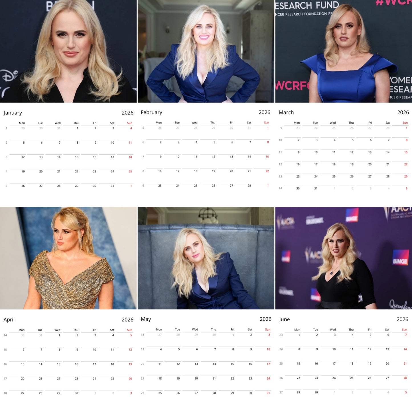 Rebel Wilson 2026 Wall Calendar ( Large Calendar ) β Exclusive Celebrity Poster Calendar for Fans
