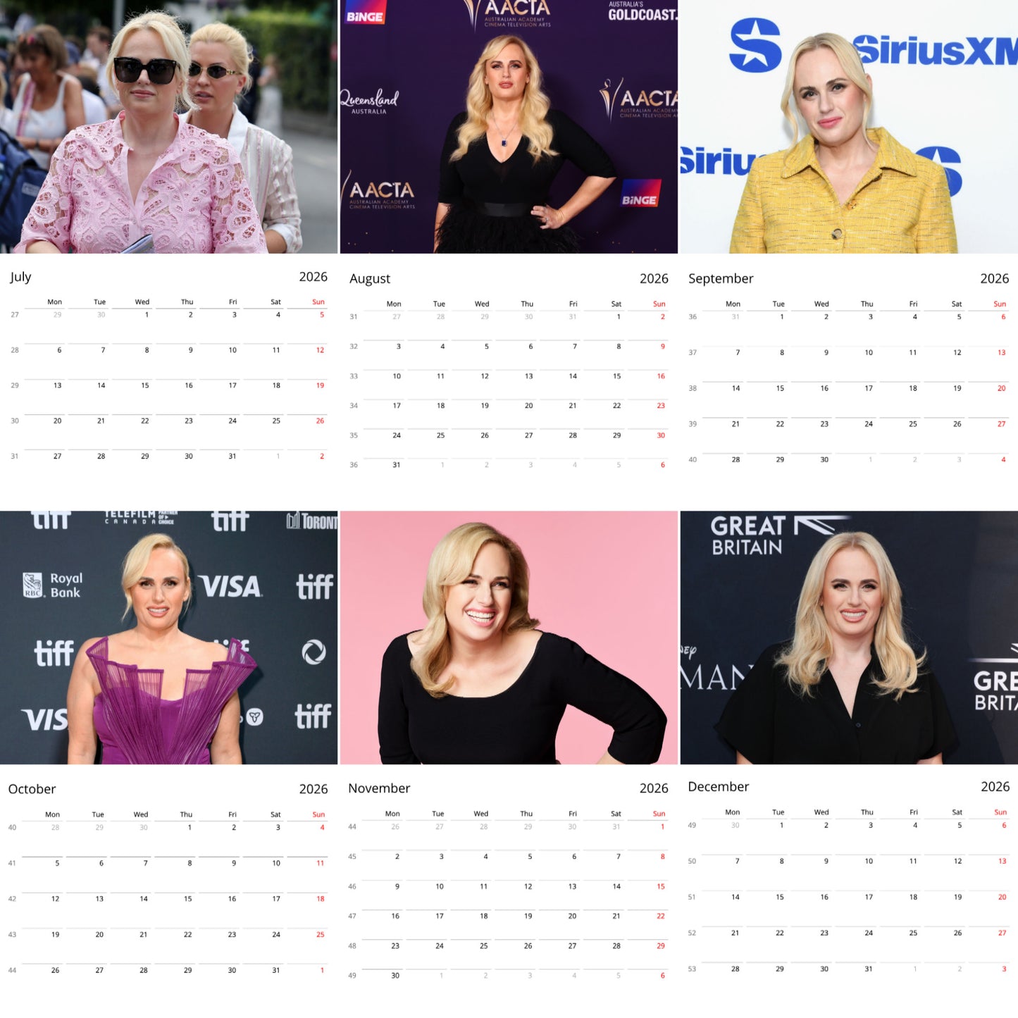 Rebel Wilson 2026 Wall Calendar ( Large Calendar ) β Exclusive Celebrity Poster Calendar for Fans