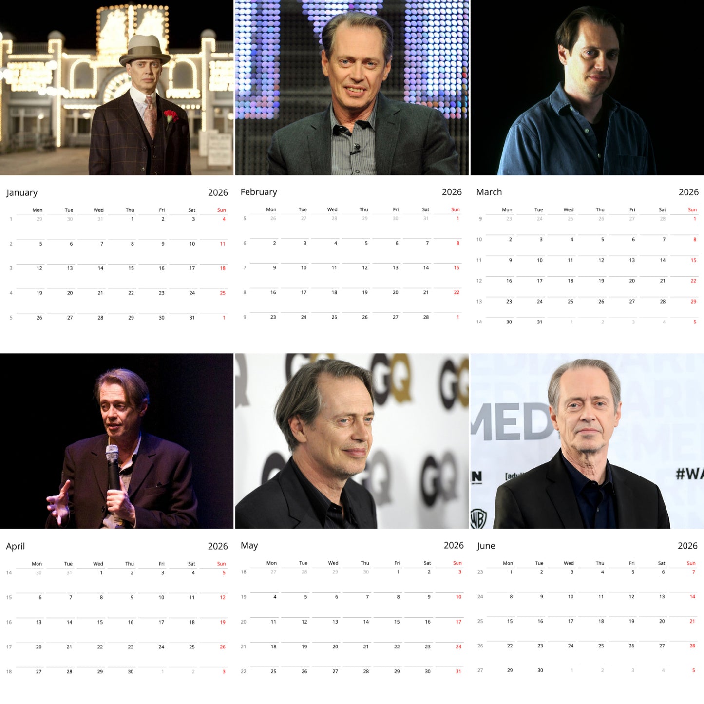 Steve Buscemi 2026 Wall Calendar ( Large Calendar ) β Iconic Actor Calendar for Fans
