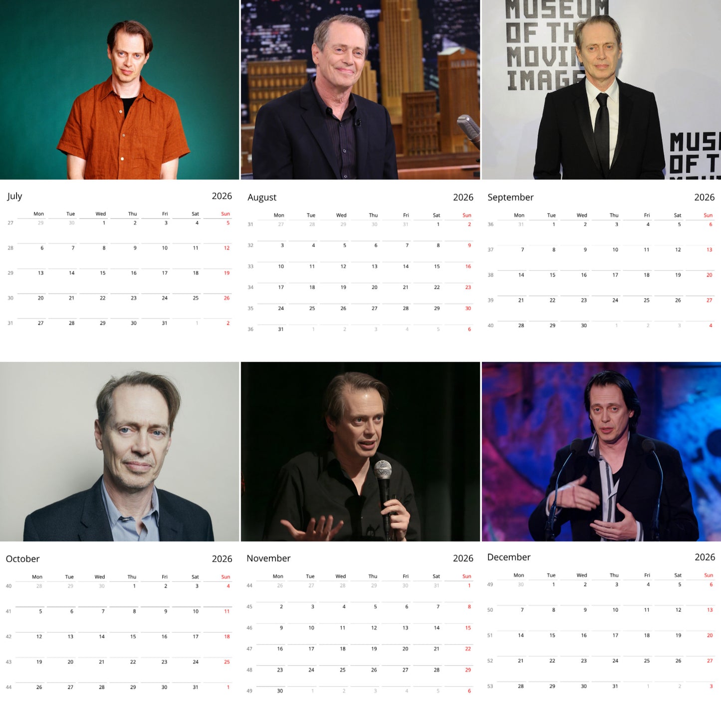 Steve Buscemi 2026 Wall Calendar ( Large Calendar ) β Iconic Actor Calendar for Fans