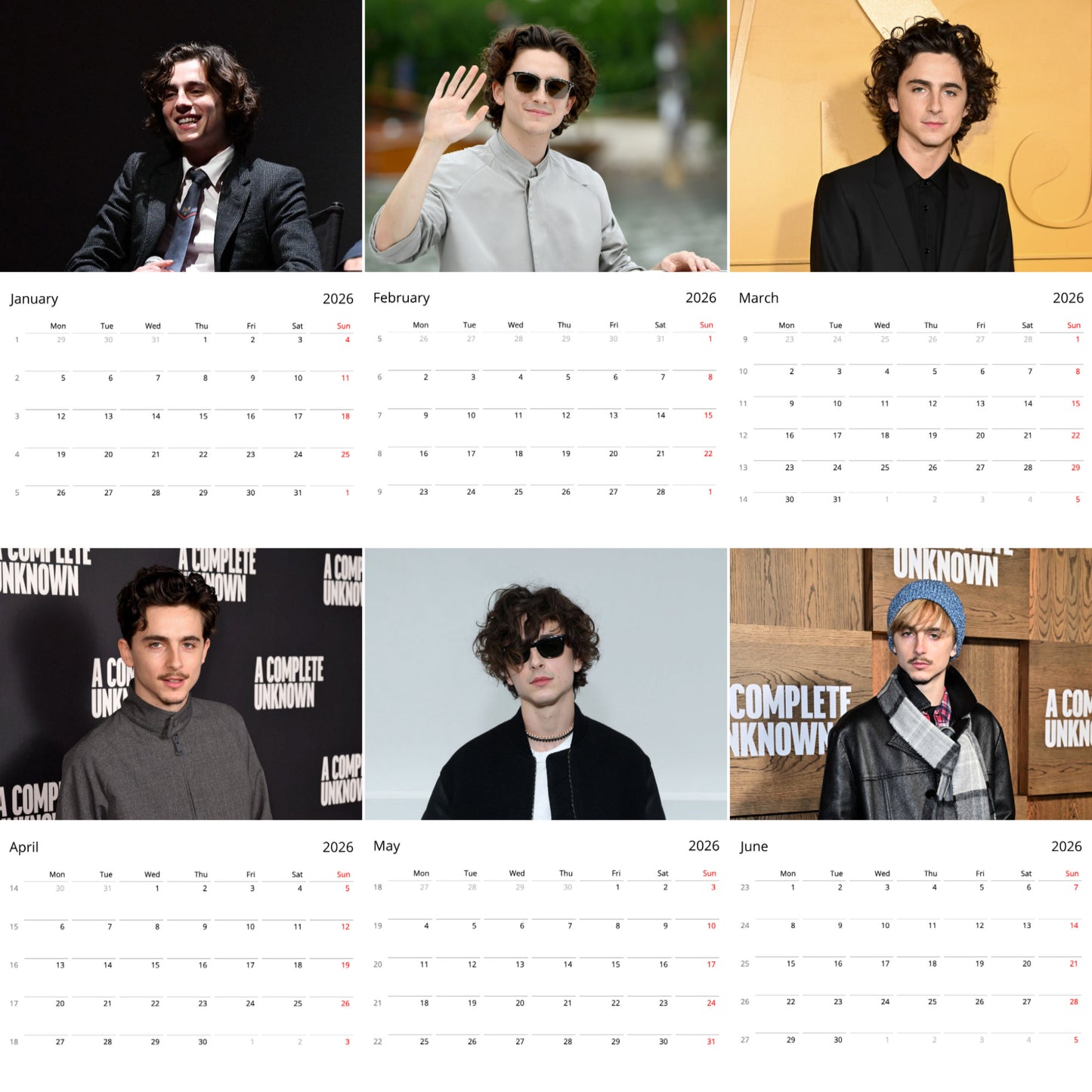 Timothée Chalamet 2026 Wall Calendar – Premium Actor Calendar for Fans, Hollywood Heartthrob Gift