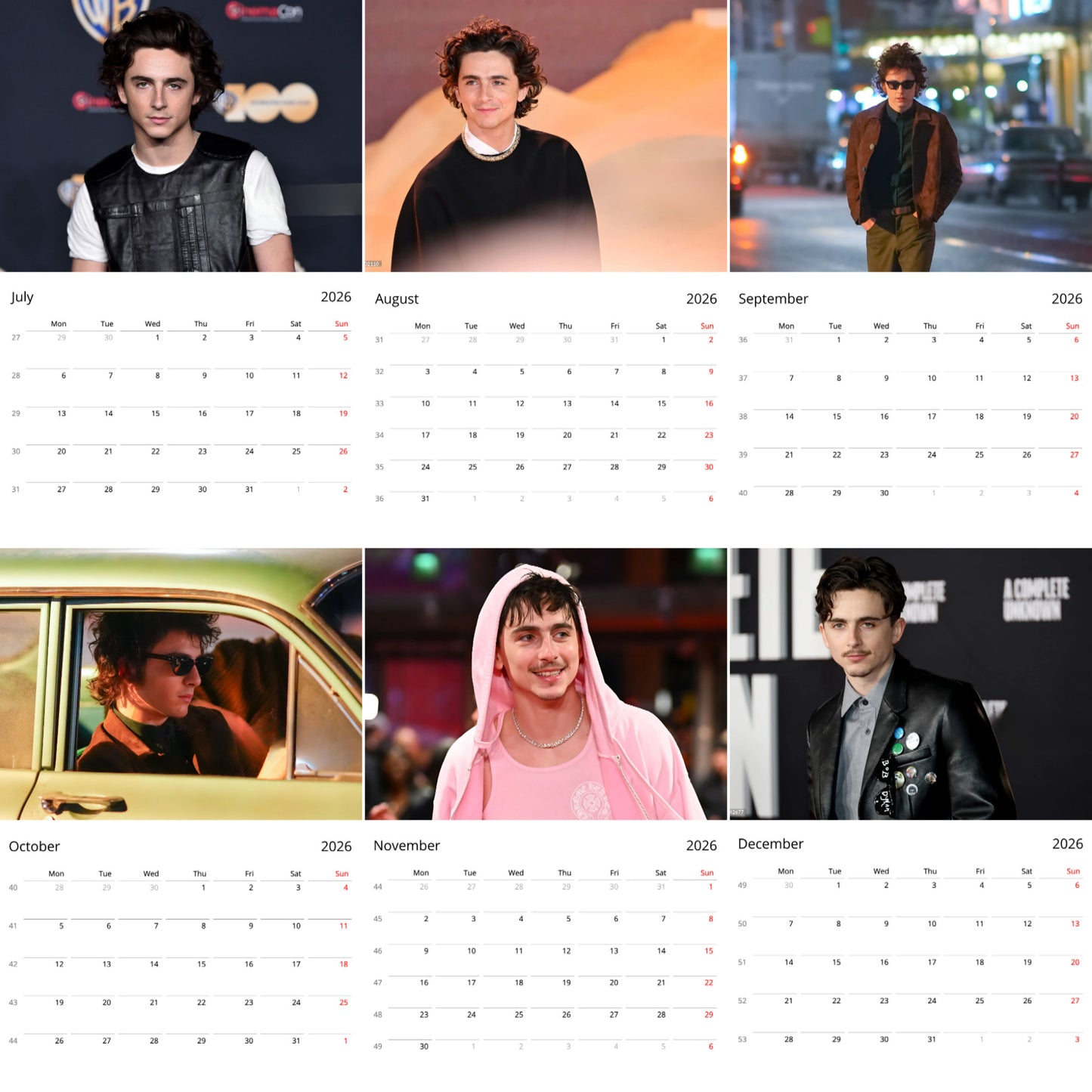 Timothée Chalamet 2026 Wall Calendar – Premium Actor Calendar for Fans, Hollywood Heartthrob Gift