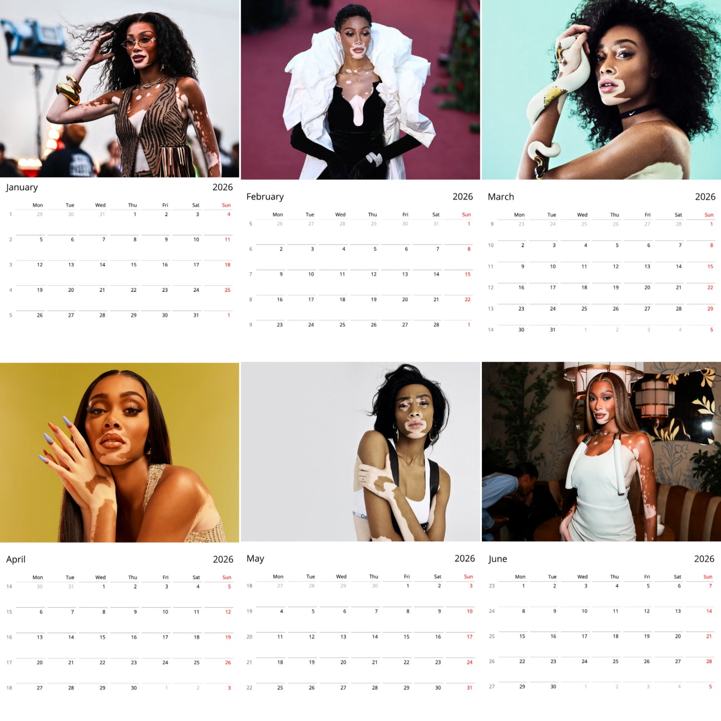 Winnie Harlow 2026 Wall Calendar ( Large Calendar ) β Exclusive Celebrity Poster Calendar for Fans