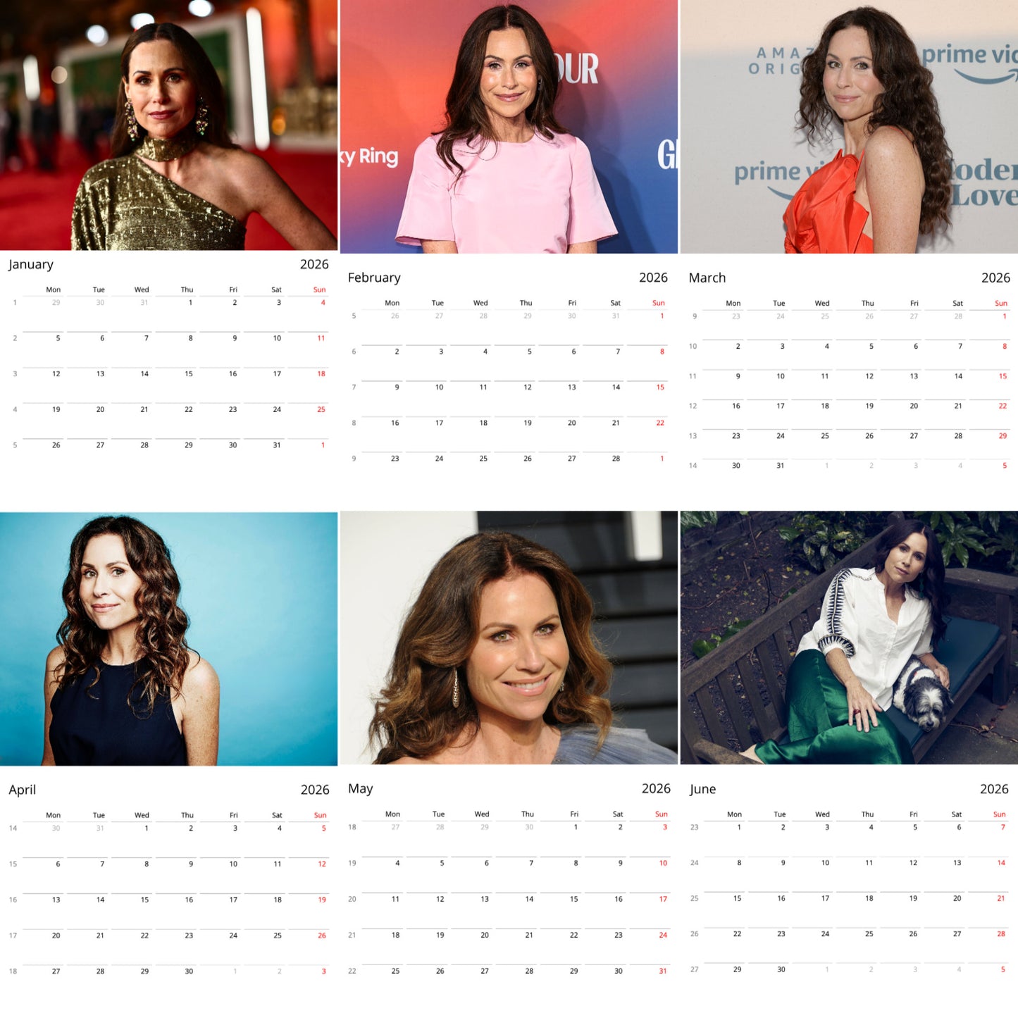 Minnie Driver 2026 Wall Calendar ( Large Calendar ) β Actress & Singer Collectors Edition
