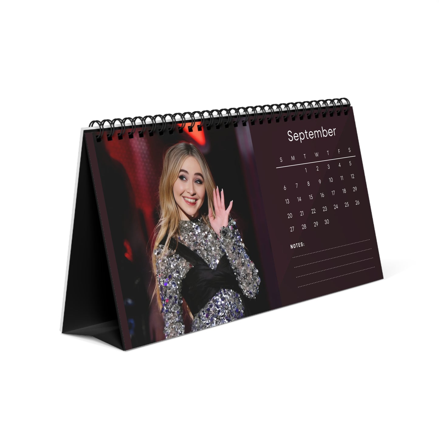 Sabrina Carpenter 2026 Desk Calendar | Celebrity Photo Calendar | Stylish Fan Gift for Desk & Office