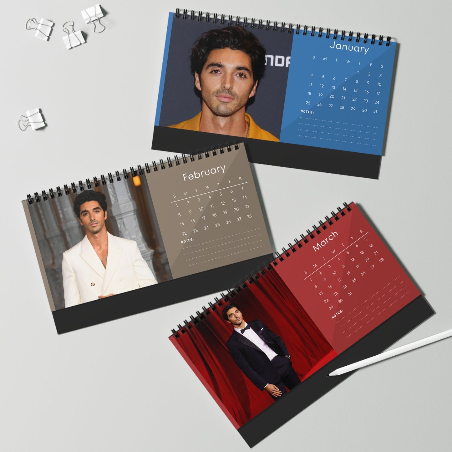 Taylor Zakhar Perez 2026 Desk Calendar | Celebrity Photo Calendar | Hollywood Star Gift | Stylish Desk Decor