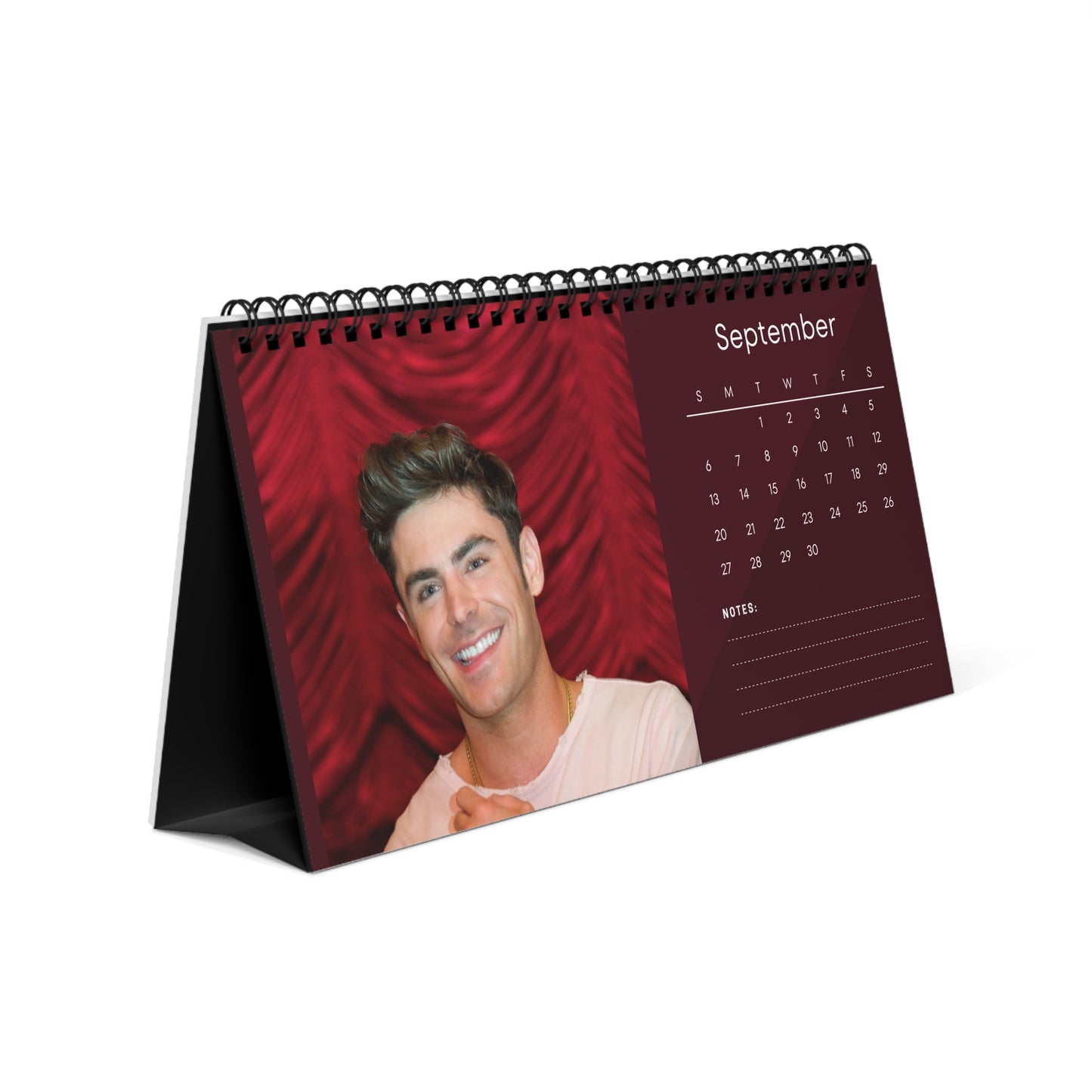 Zac Efron 2026 Desk Calendar | Actor Monthly Planner | Zac Efron Gift | Office Decor