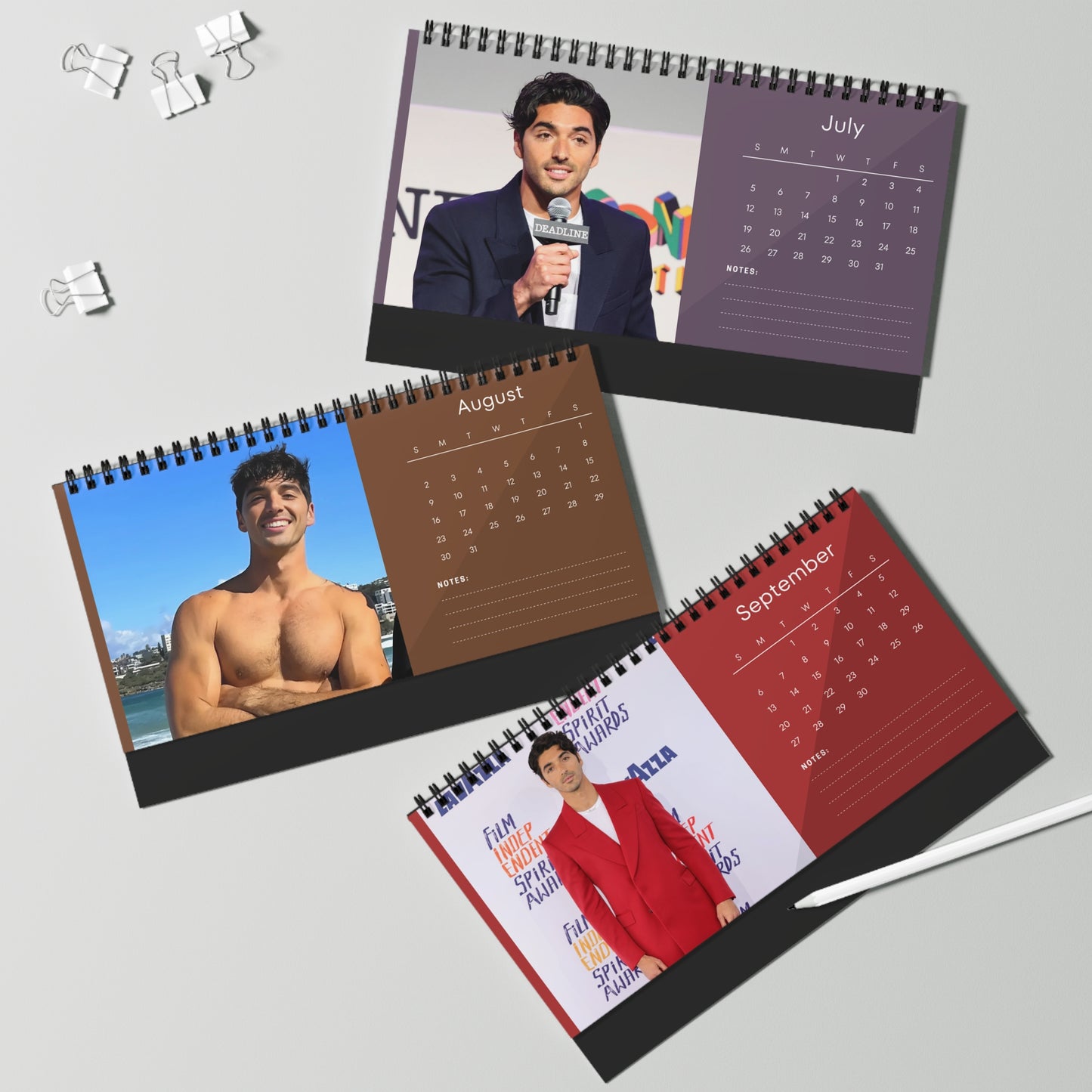 Taylor Zakhar Perez 2026 Desk Calendar | Celebrity Photo Calendar | Hollywood Star Gift | Stylish Desk Decor