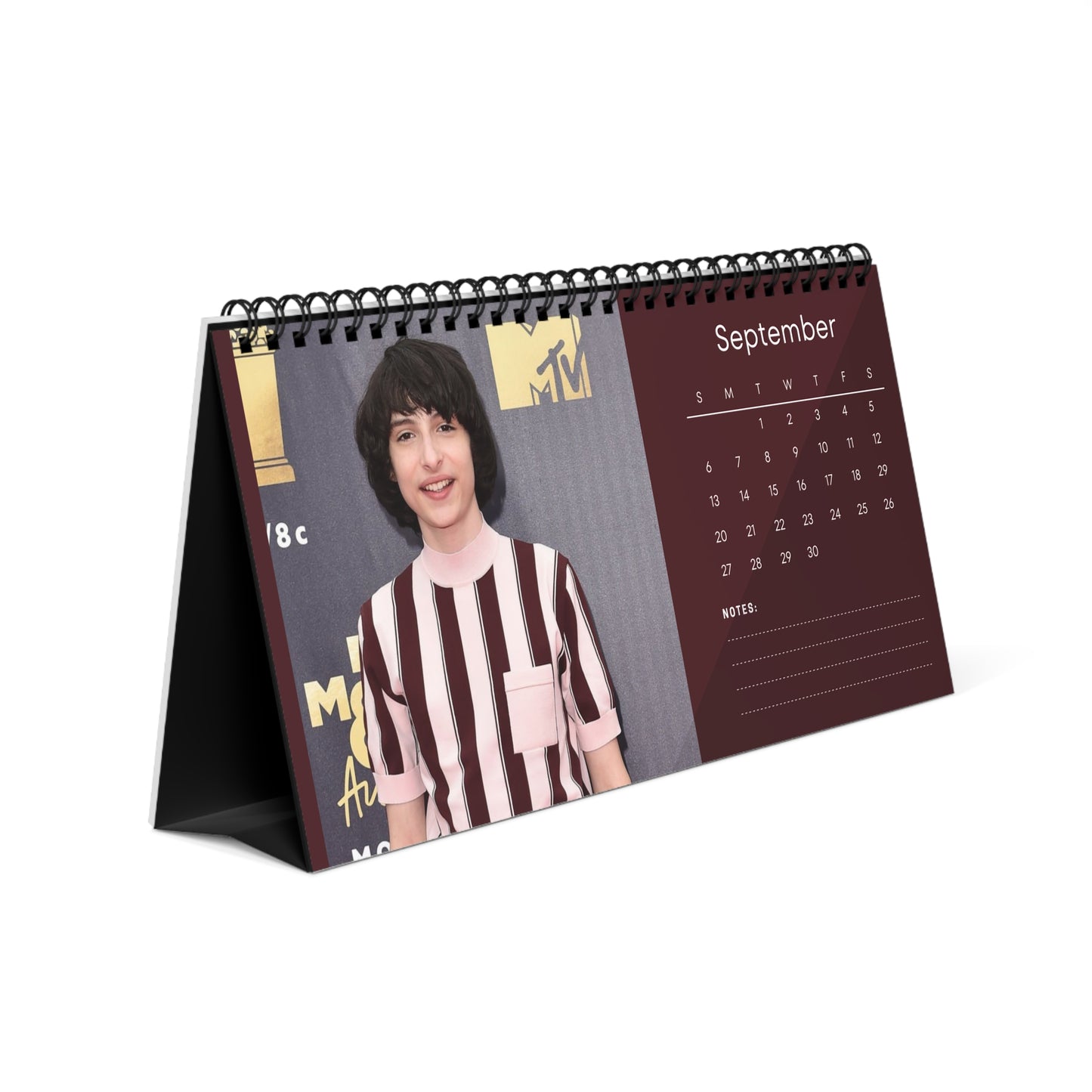 Finn Wolfhard 2026 Desk Calendar | Stranger Things Star | Celebrity Fan Gift | Cool Actor Desk Décor | Collectible Photo Calendar
