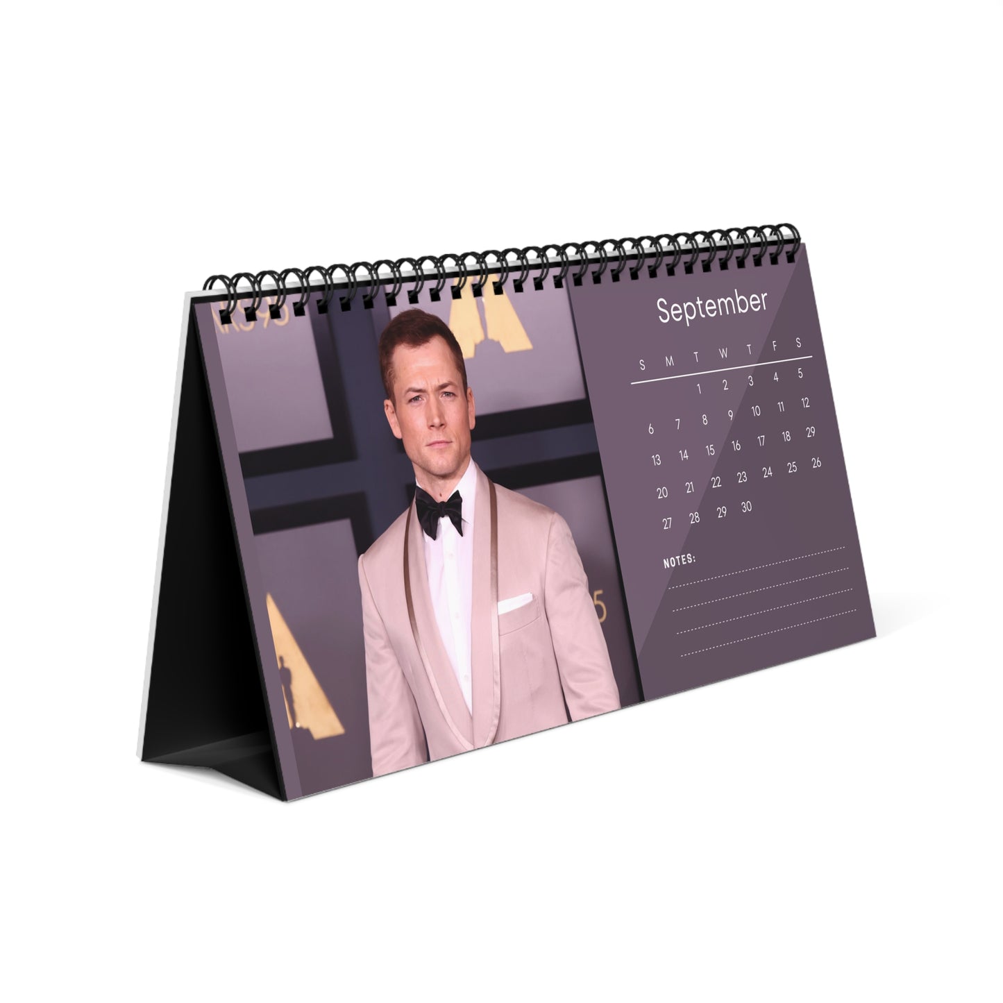 Taron Egerton 2026 Desk Calendar | Premium Spiral Bound Celebrity Photo Calendar | High-Quality Fan Gift & Desk Décor
