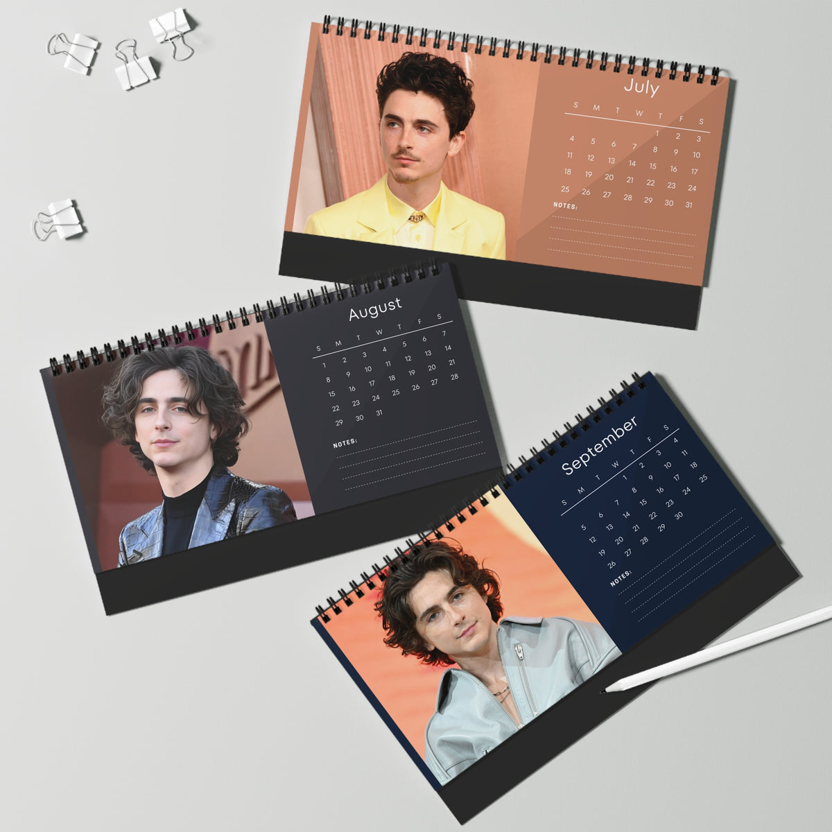 Timothée Chalamet 2027 Desk Calendar Vol 2 | Spiral Bound Photo Calendar | Fan Gift