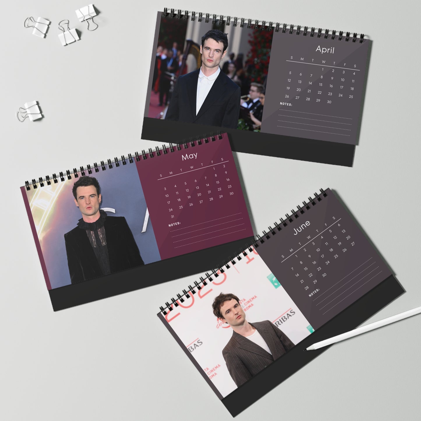 Tom Sturridge 2026 Desk Calendar | Celebrity Spiral Bound Photo Calendar | Fan Collectible Gift | Stylish Desk & Office Décor
