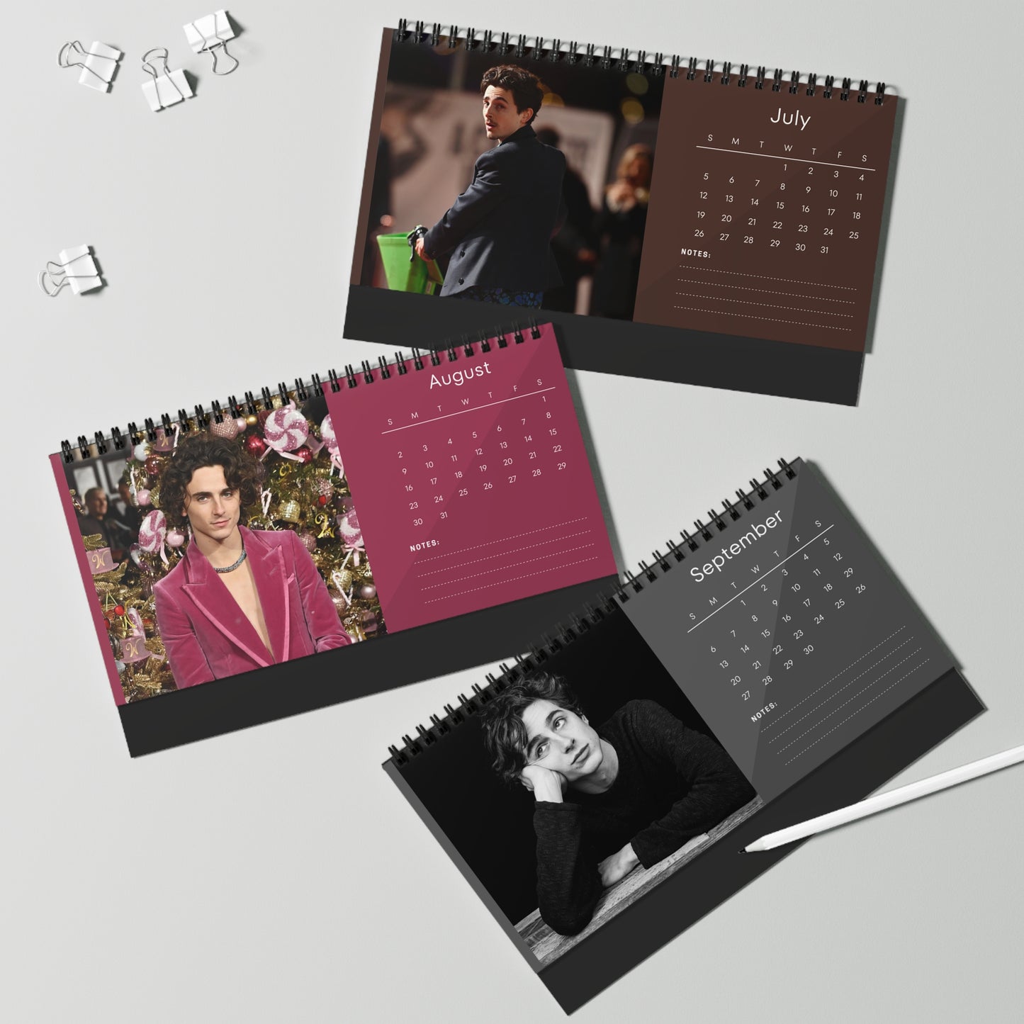 Timothée Chalamet 2026 Desk Calendar | Premium Spiral Bound Celebrity Photo Calendar | Collectible Fan Gift | Stylish Desk & Office Décor