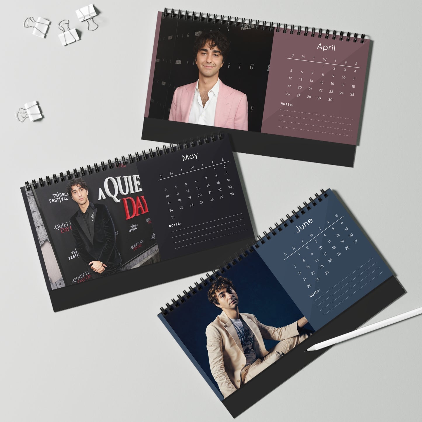 Alex Wolff 2026 Desk Calendar| Premium Spiral Bound Celebrity Photo Calendar | High Quality Collectible Gift for Fans & Desk Décor