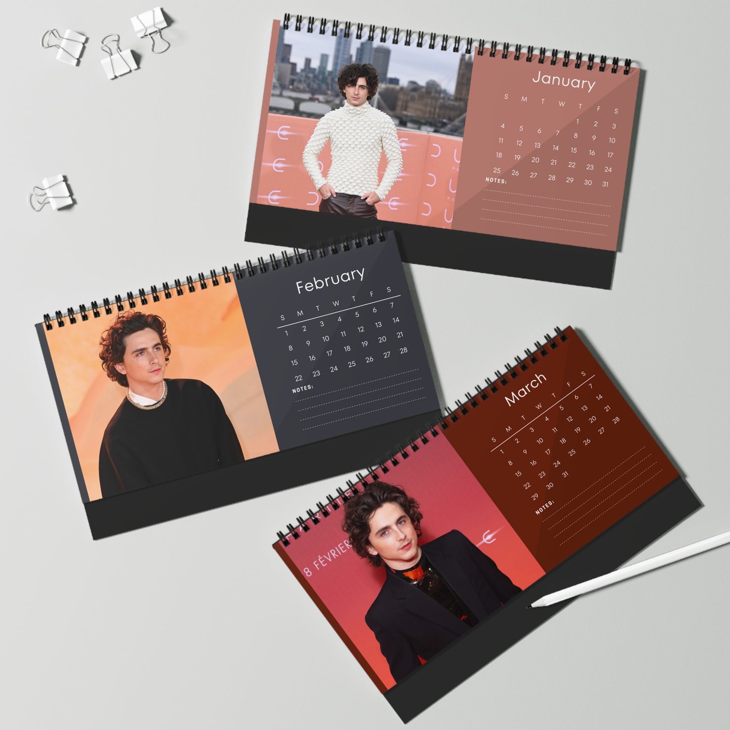 Timothee Chalamet 2026 Desk Calendar | Stylish Celebrity Photo Calendar | Star Fan Gift