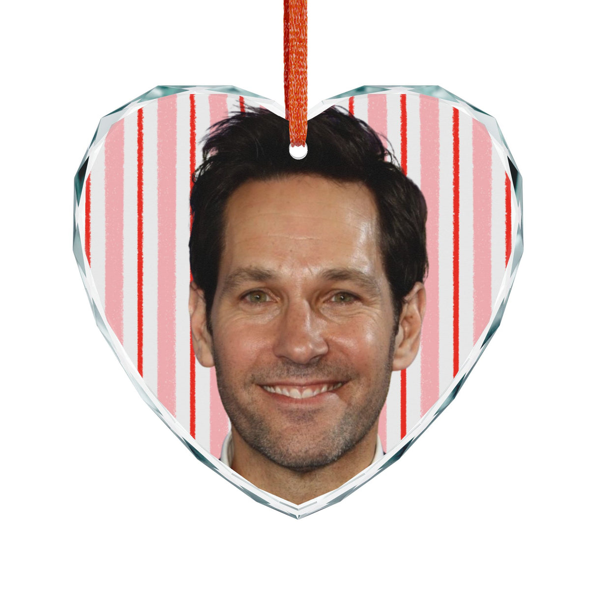 Paul Rudd Christmas Ornament | Celebrity Fan Gift Keepsake