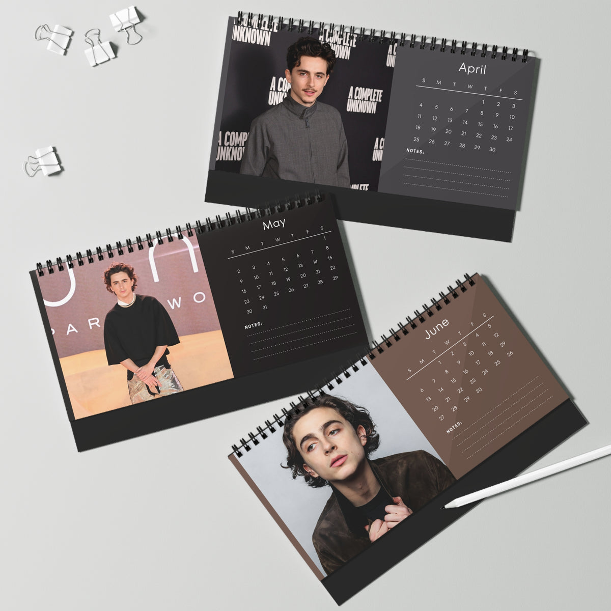 Timothée Chalamet 2027 Desk Calendar Vol 1 | Spiral Bound Photo Calendar | Fan Gift