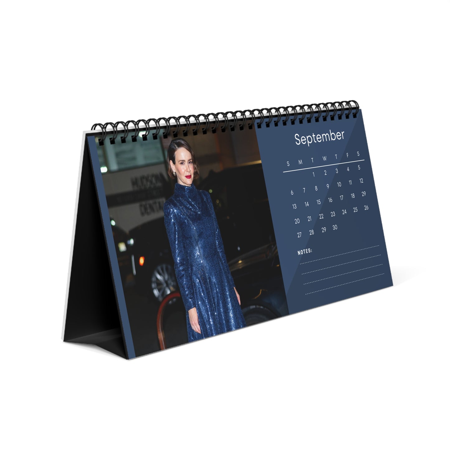 Sarah Paulson 2026 Desk Calendar | Celebrity Photo Calendar | Stylish Desk Accessory & Perfect Fan Gift