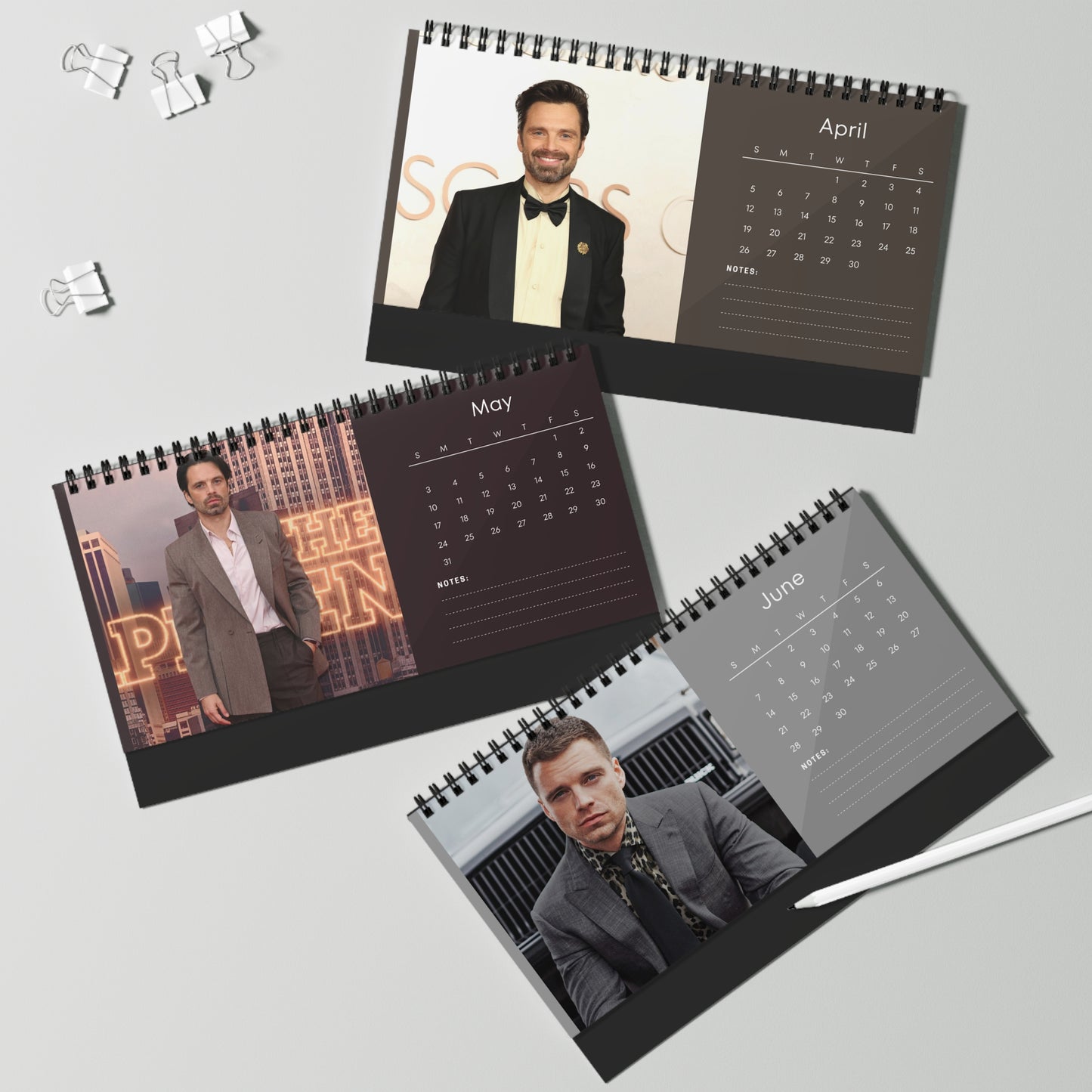 Sebastian Stan 2026 Desk Calendar | Celebrity Spiral Bound Photo Calendar | Fan Collectible Gift | Stylish Desk & Office Décor