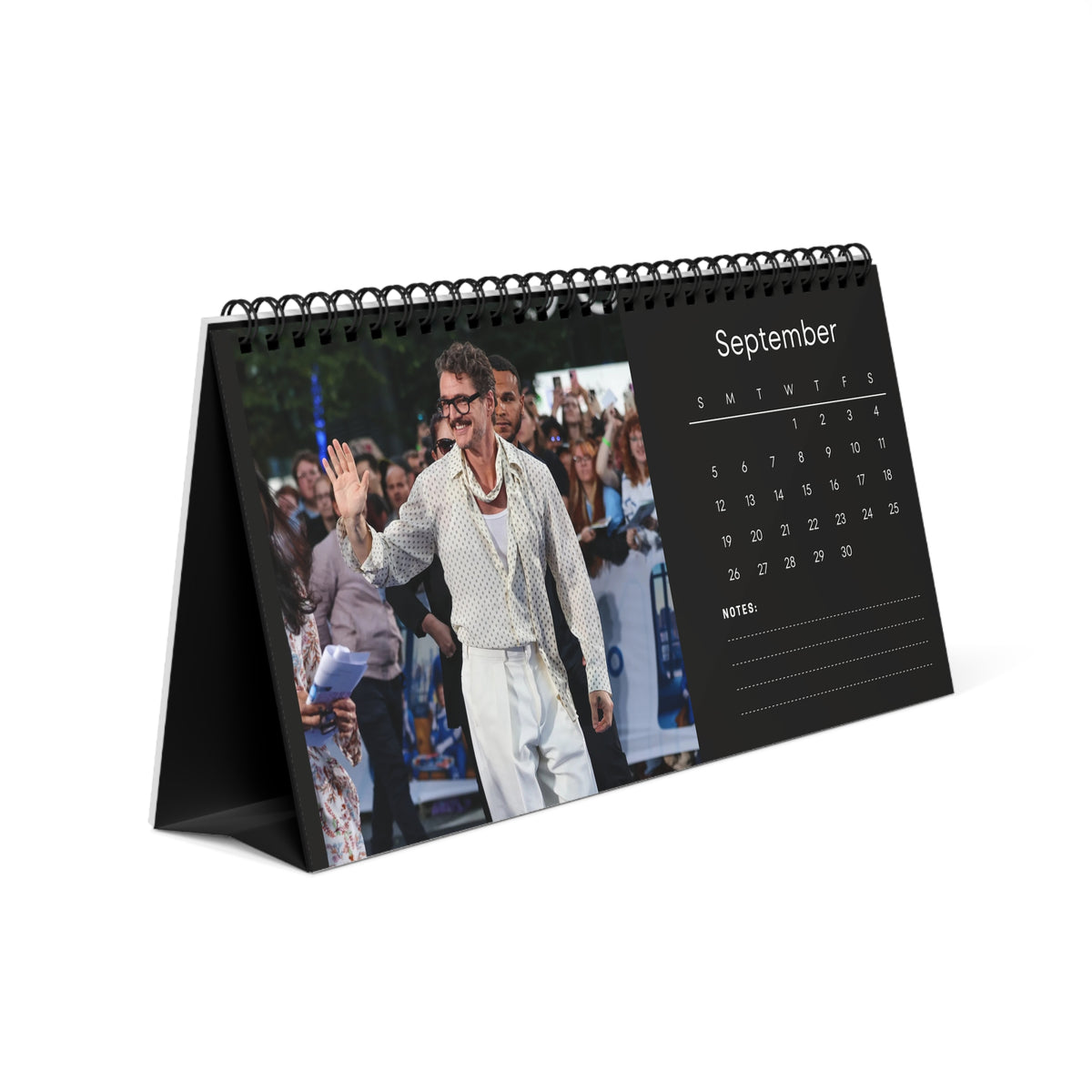 Pedro Pascal 2027 Desk Calendar Vol 1 | Spiral Bound Photo Calendar | Fan Gift