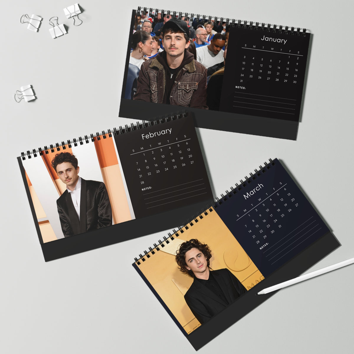 Timothée Chalamet 2027 Desk Calendar Vol 1 | Spiral Bound Photo Calendar | Fan Gift