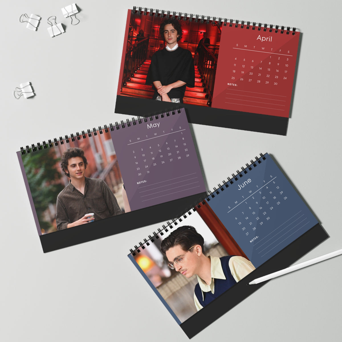 Timothée Chalamet 2027 Desk Calendar Vol 2 | Spiral Bound Photo Calendar | Fan Gift