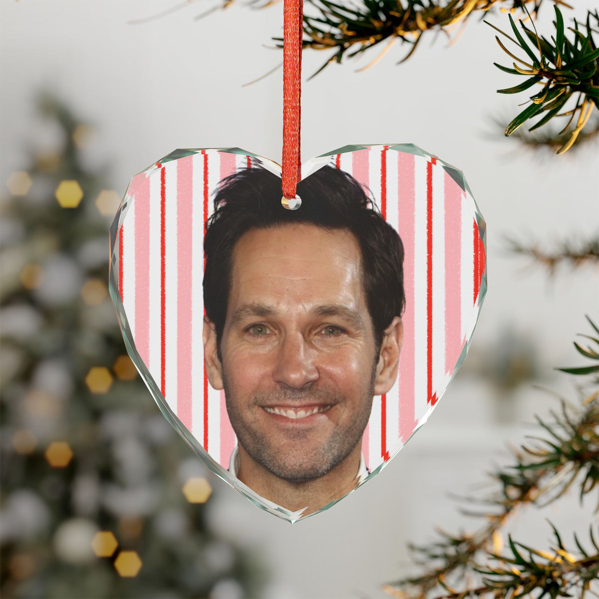 Paul Rudd Christmas Ornament | Celebrity Fan Gift Keepsake