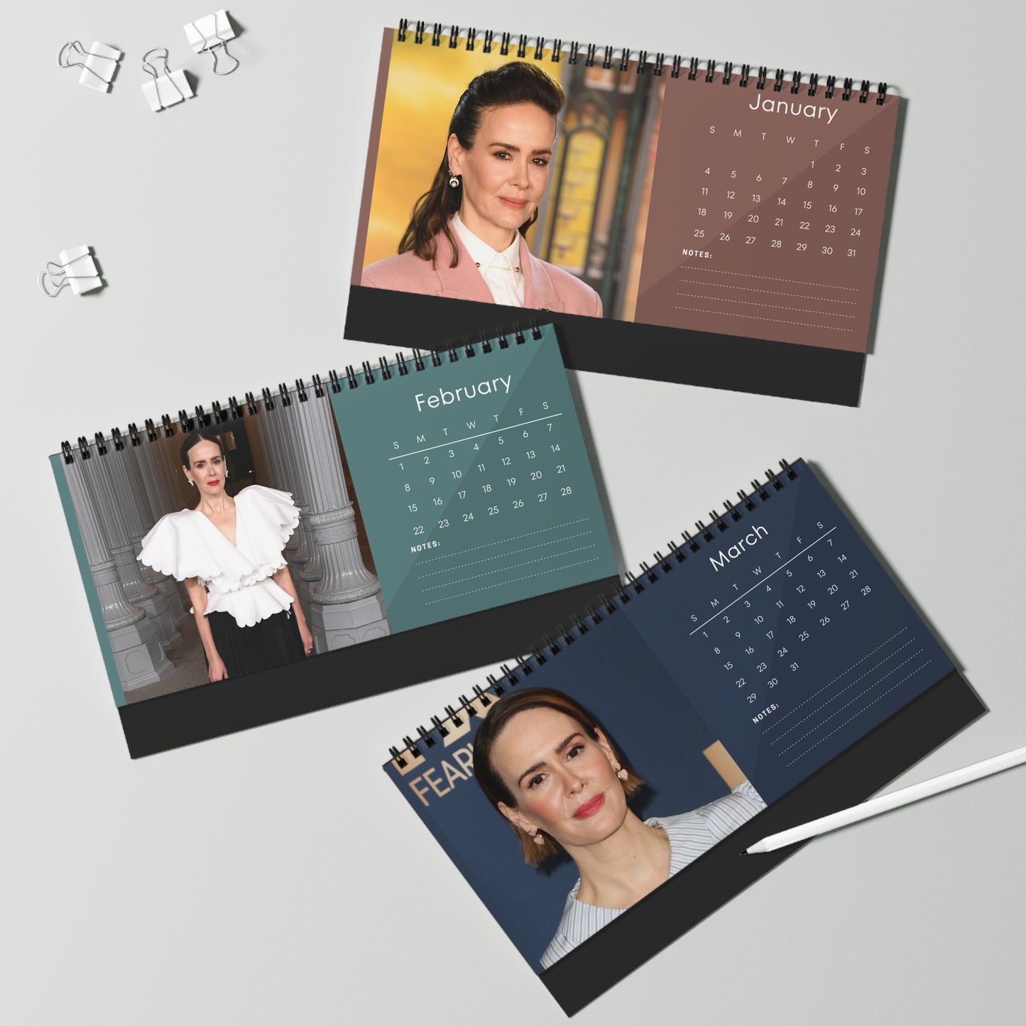 Sarah Paulson 2026 Desk Calendar | Celebrity Photo Calendar | Stylish Desk Accessory & Perfect Fan Gift