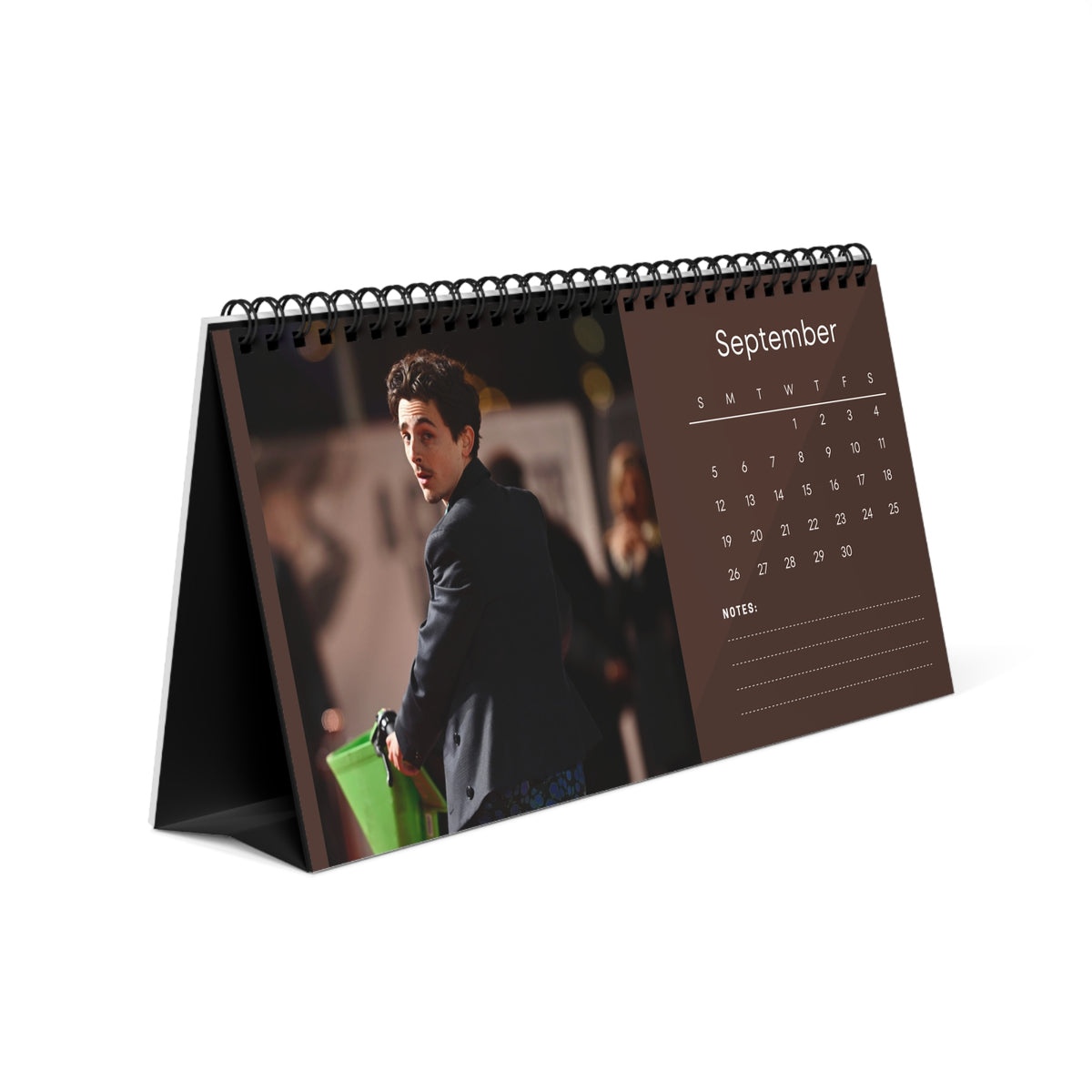 Timothée Chalamet 2027 Desk Calendar Vol 1 | Spiral Bound Photo Calendar | Fan Gift