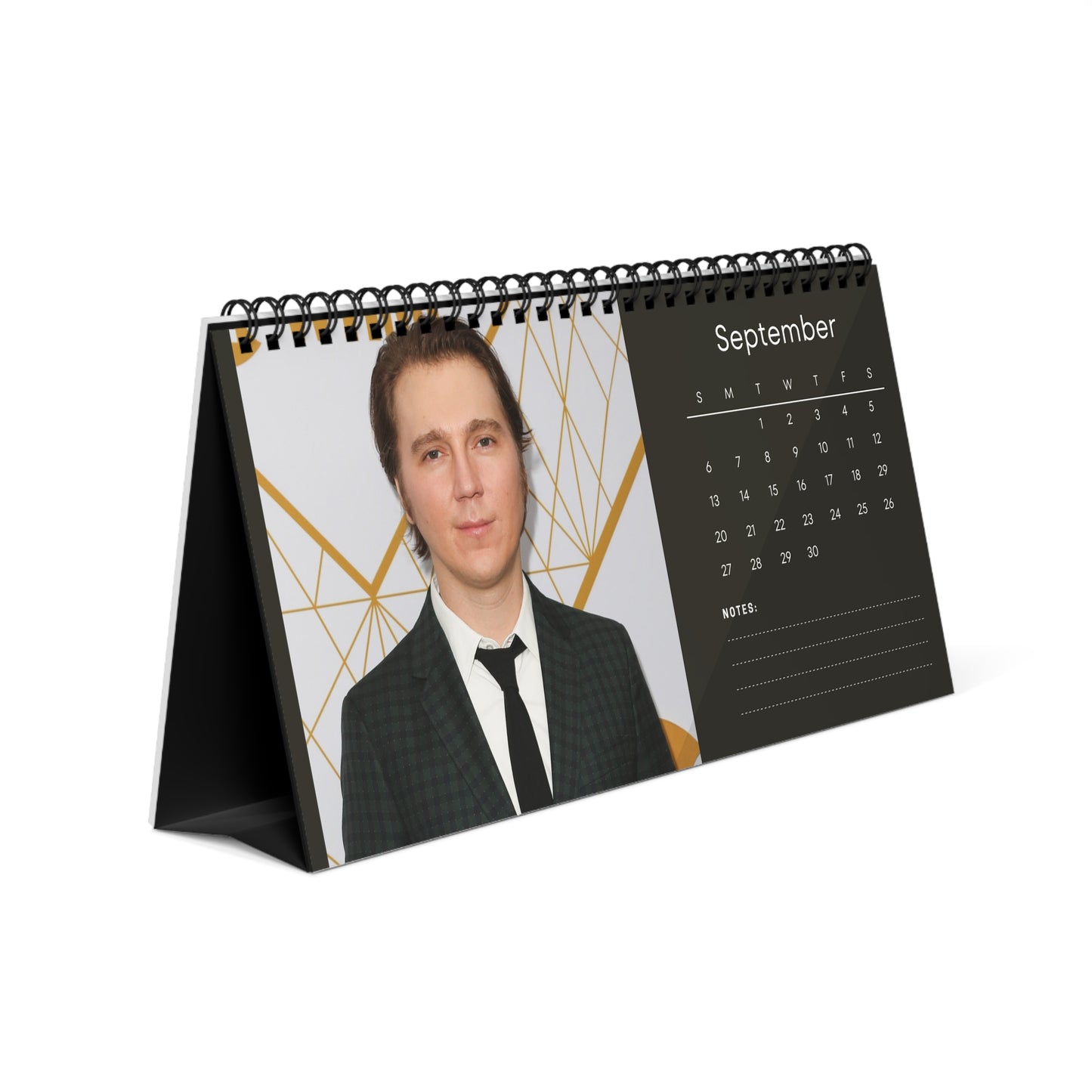 Paul Dano 2026 Desk Calendar | Premium Spiral Bound Celebrity Photo Calendar | Collectible Fan Gift | Stylish Desk & Office Décor