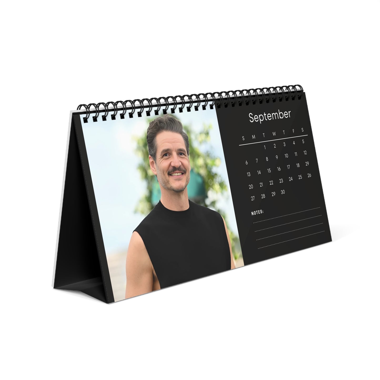 Pedro Pascal 2026 Desk Calendar | Premium Spiral Bound Celebrity Photo Calendar | Stylish Fan Gift & Desk Décor