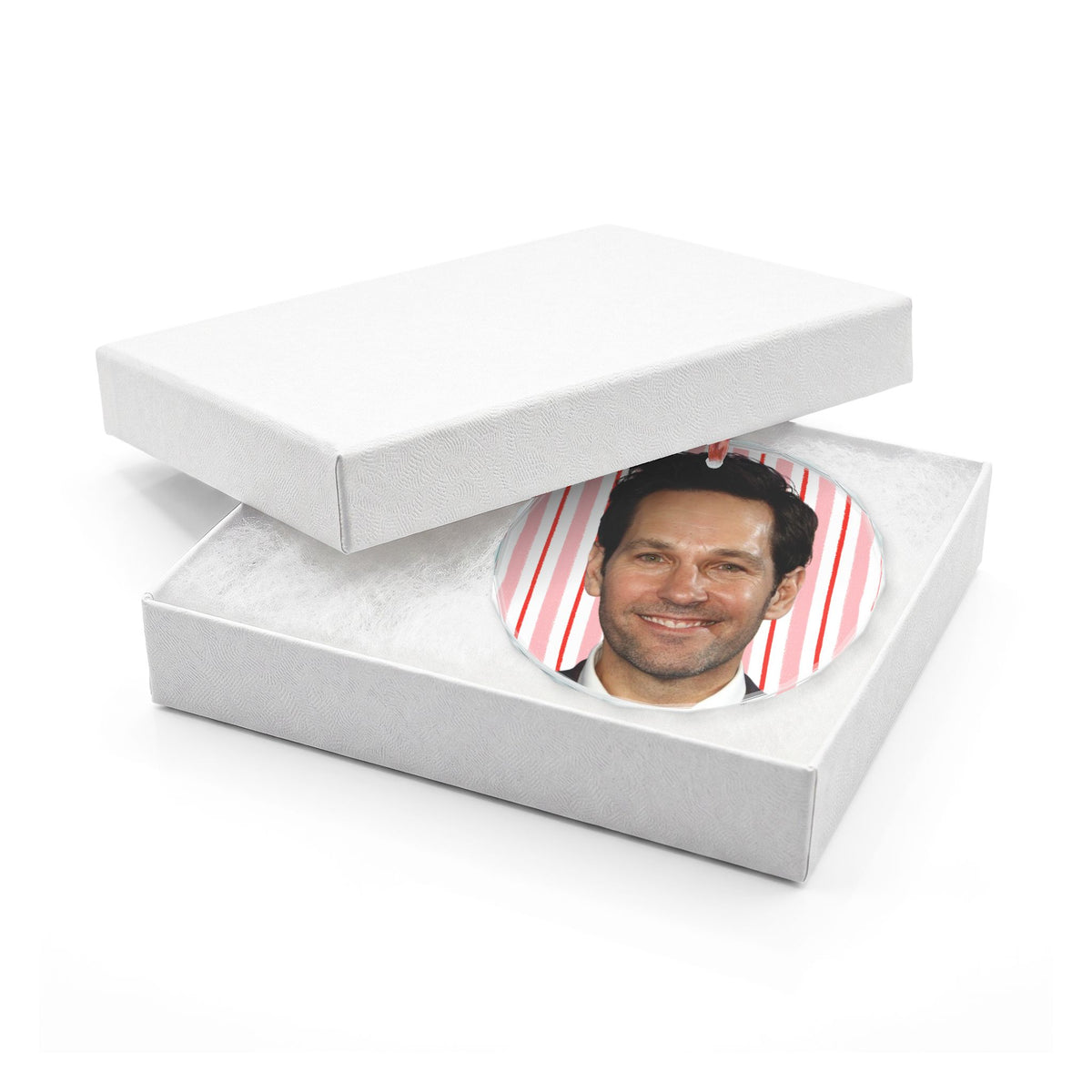 Paul Rudd Christmas Ornament | Celebrity Fan Gift Keepsake
